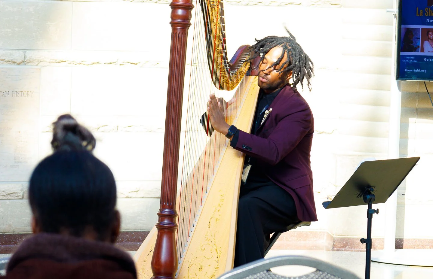 Harp_performance.jpg
