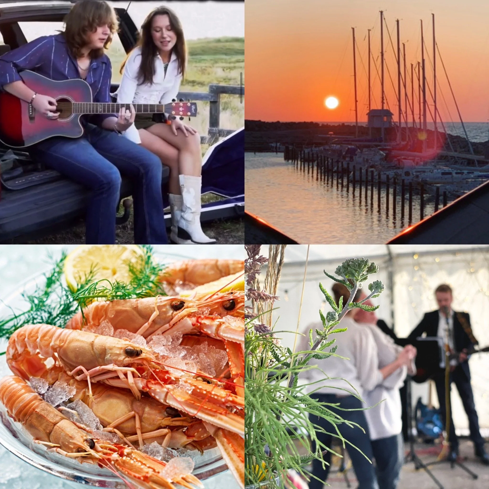 SKALLKROKEN 50 ÅR!!