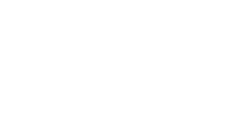 SKALLKROKEN