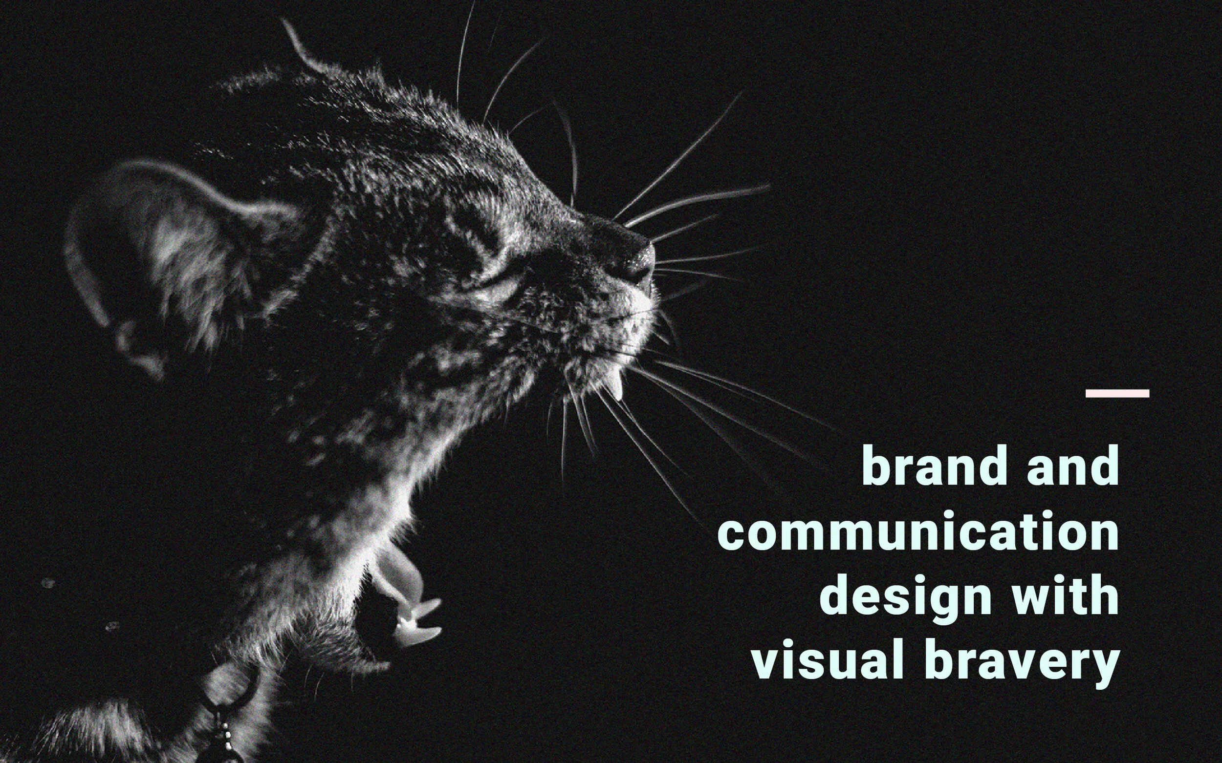 visualroar_services-05.jpg