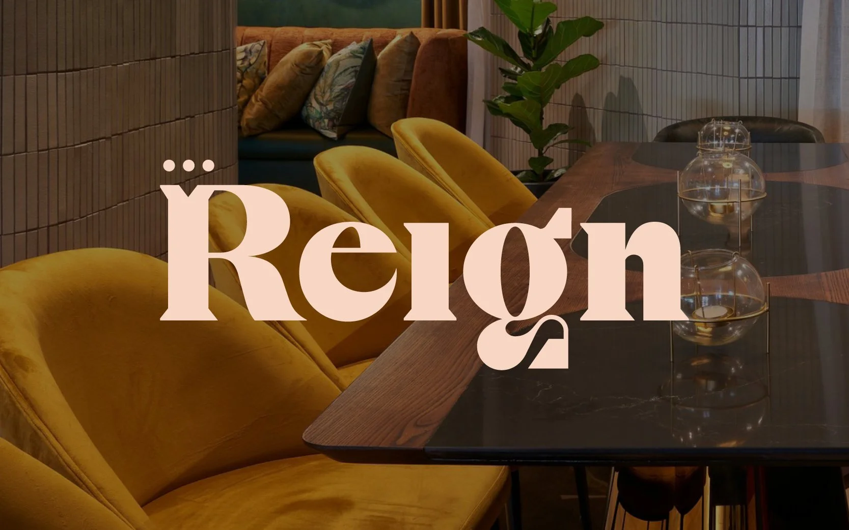 Reign PORTFOLIO_cover 1.jpg
