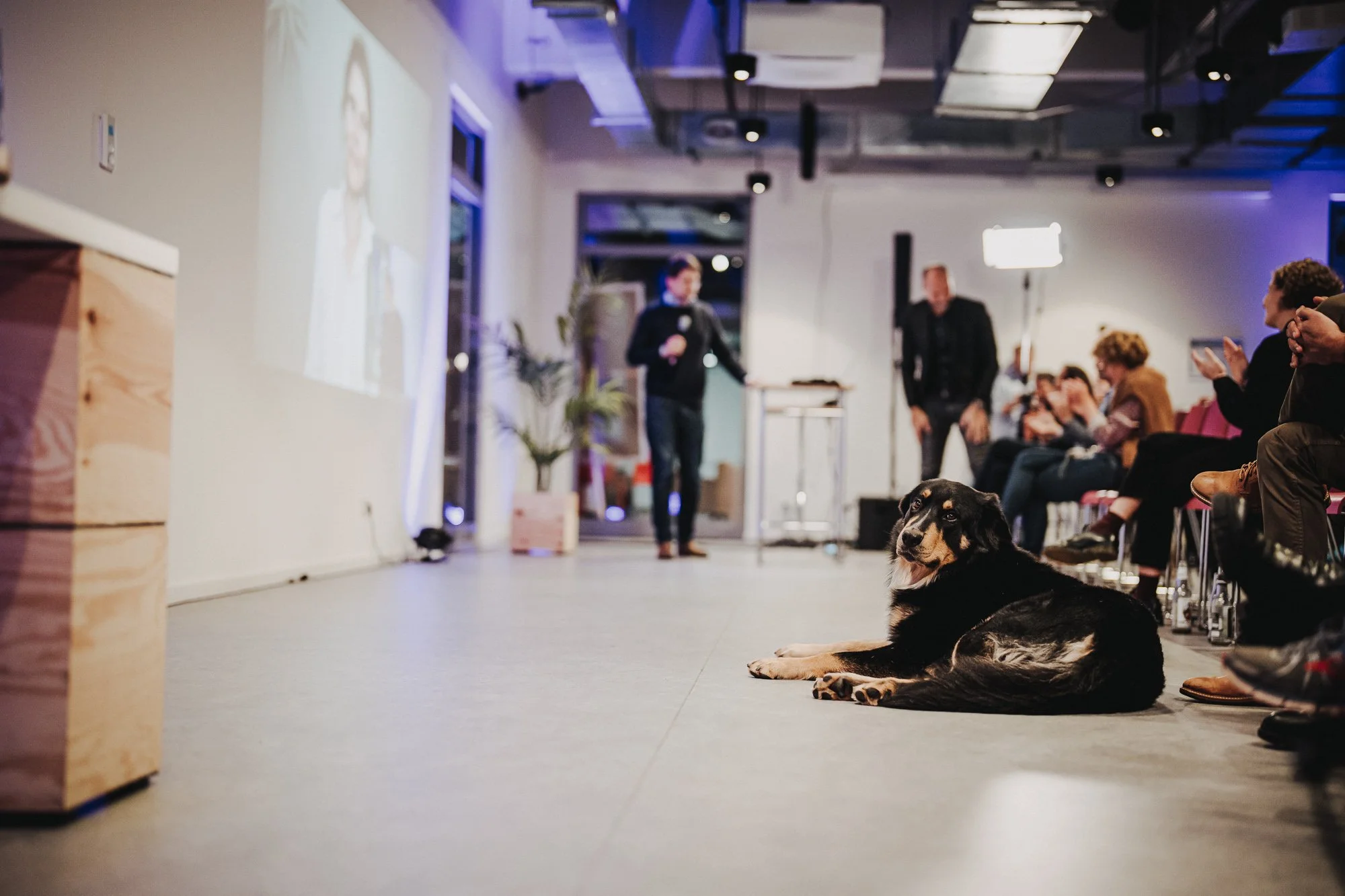 Ein Hund liegt auf dem Boden in einem Raum, während Menschen im Hintergrund einer Präsentation oder Rede zuhören. Es ist ein moderner Raum mit großen Fenstern und professioneller Beleuchtung.