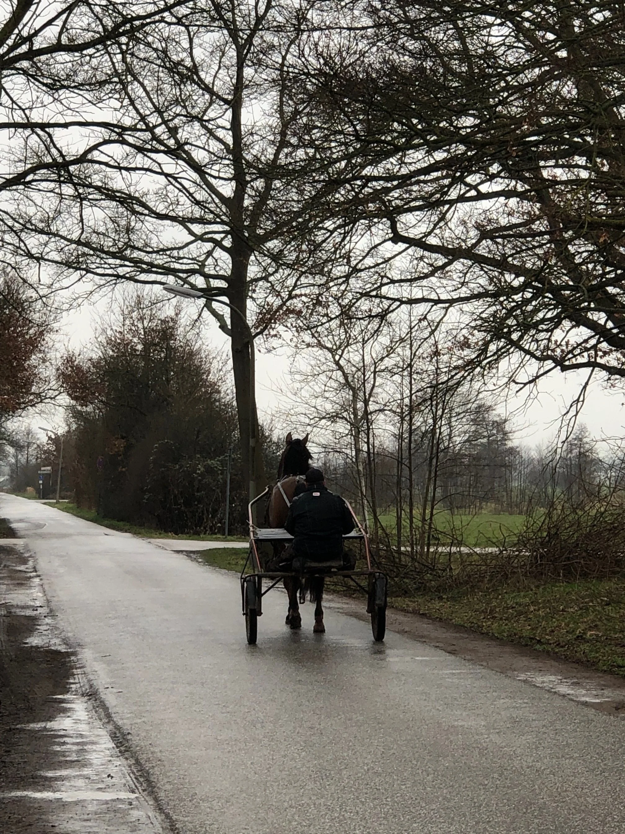 Foto aus den Vier- und Marschlanden. Pferdefuhrwerk auf einer leeren schmalen Straße. Rechts Bäume ohne Blätter. Projekt Mobilitätskonzept Vier- und Marschlande von CITIES FOR FUTURE.