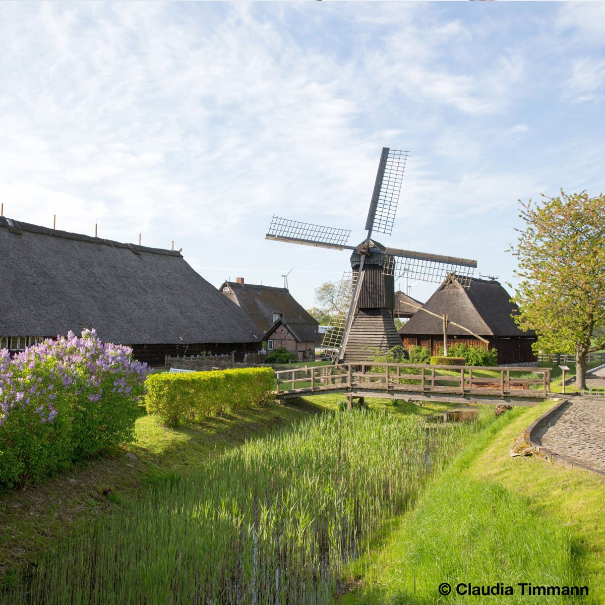 Foto aus den Vier- und Marschlanden. Rechts im Bild ein mit Schilf bewachsenen Graben. Drumherum Hecken und Reetdachhäuser sowie eine Windmühle.