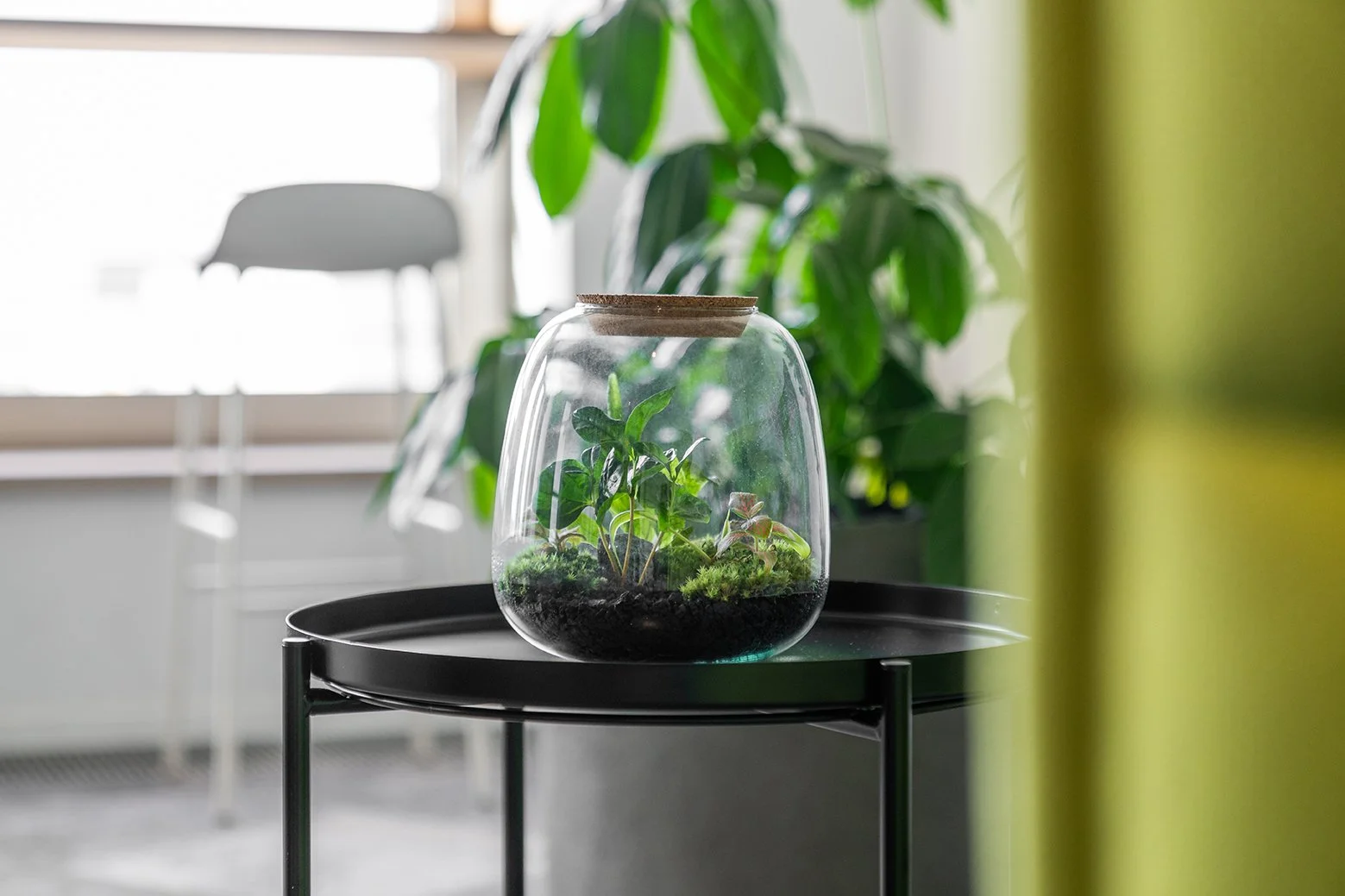 Dentsu Office: Vorne ein runder schwarzer Tisch. Darauf eine runde Glasschale mit Pflanze drin. Hintergrund unscharf mit Stuhl und Fenster.Themenbereich: Interiorgestaltung, Innenarchitektur, Placemaking.