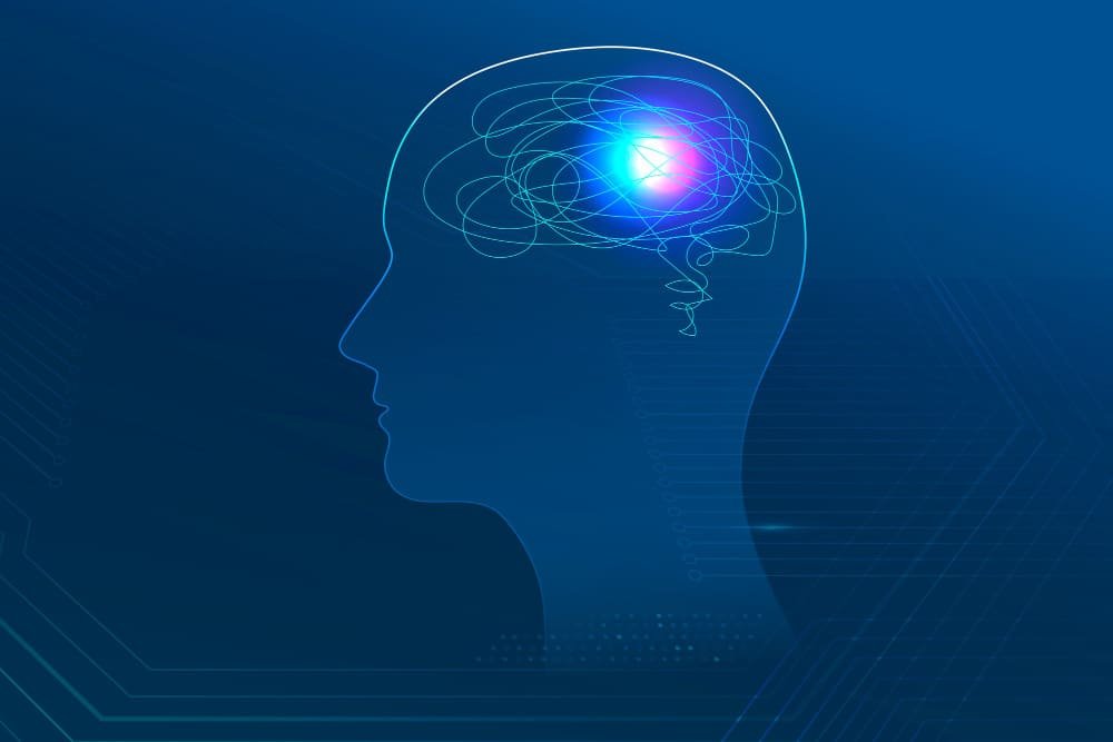 ¿Qué es un Estímulo?