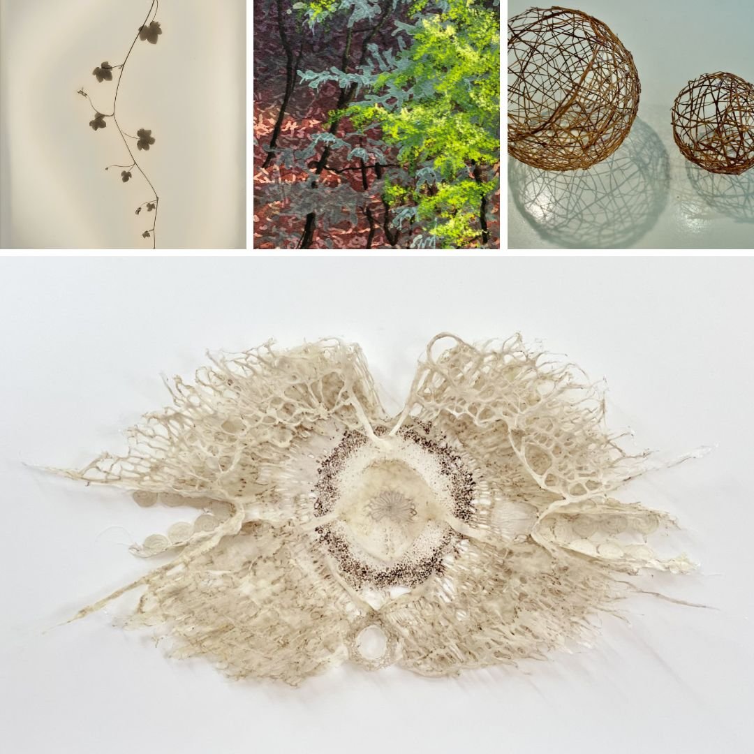 Just three weeks to go until our anniversary exhibition, 'Reuse, Reinvent' opens at VWS. Come and see (and buy!) new work made in response to the theme of reuse and reinvention. Ceramics, jewellery, photographs, paintings, lampshades, textile sculptu