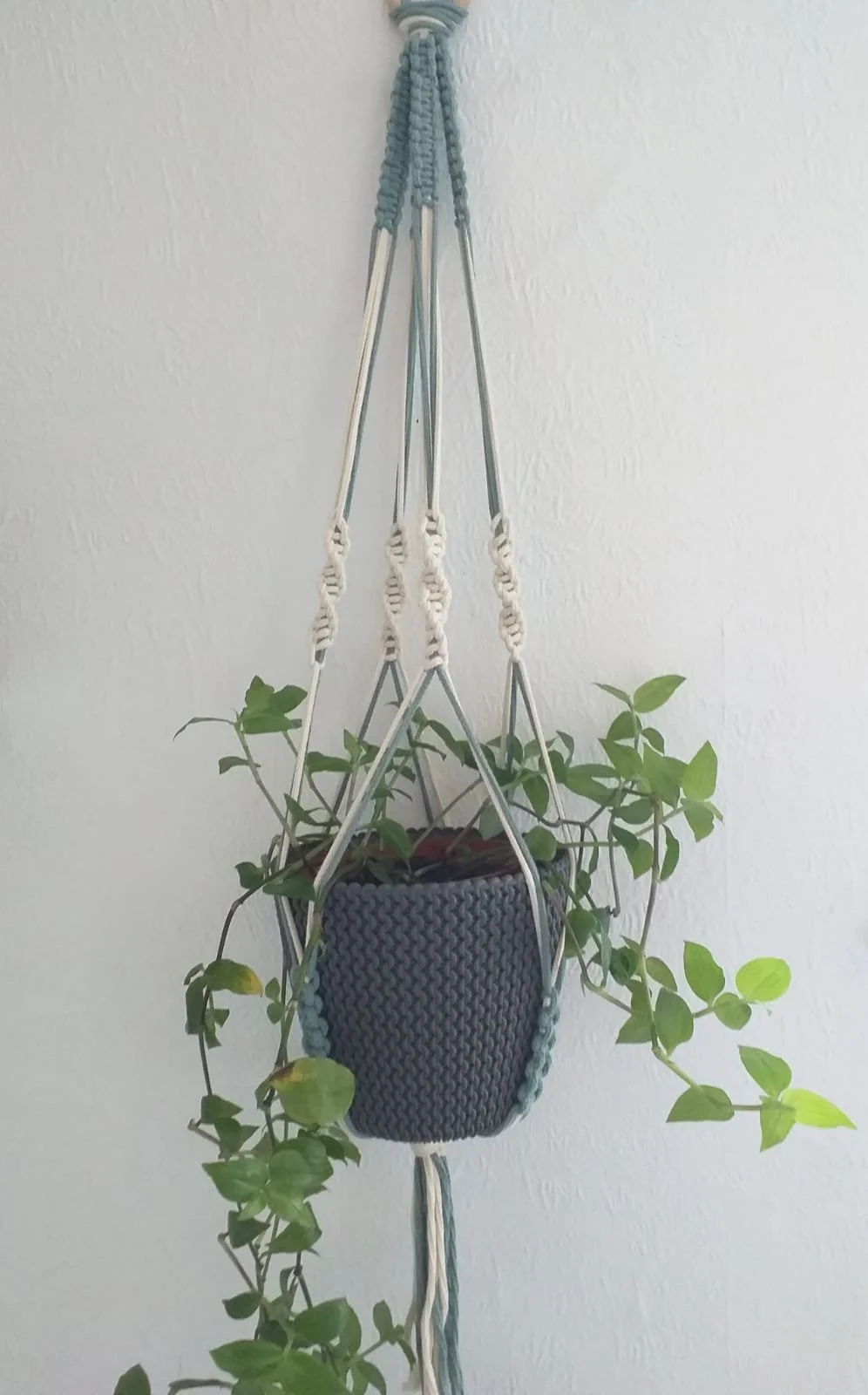Plant hanger.jpg
