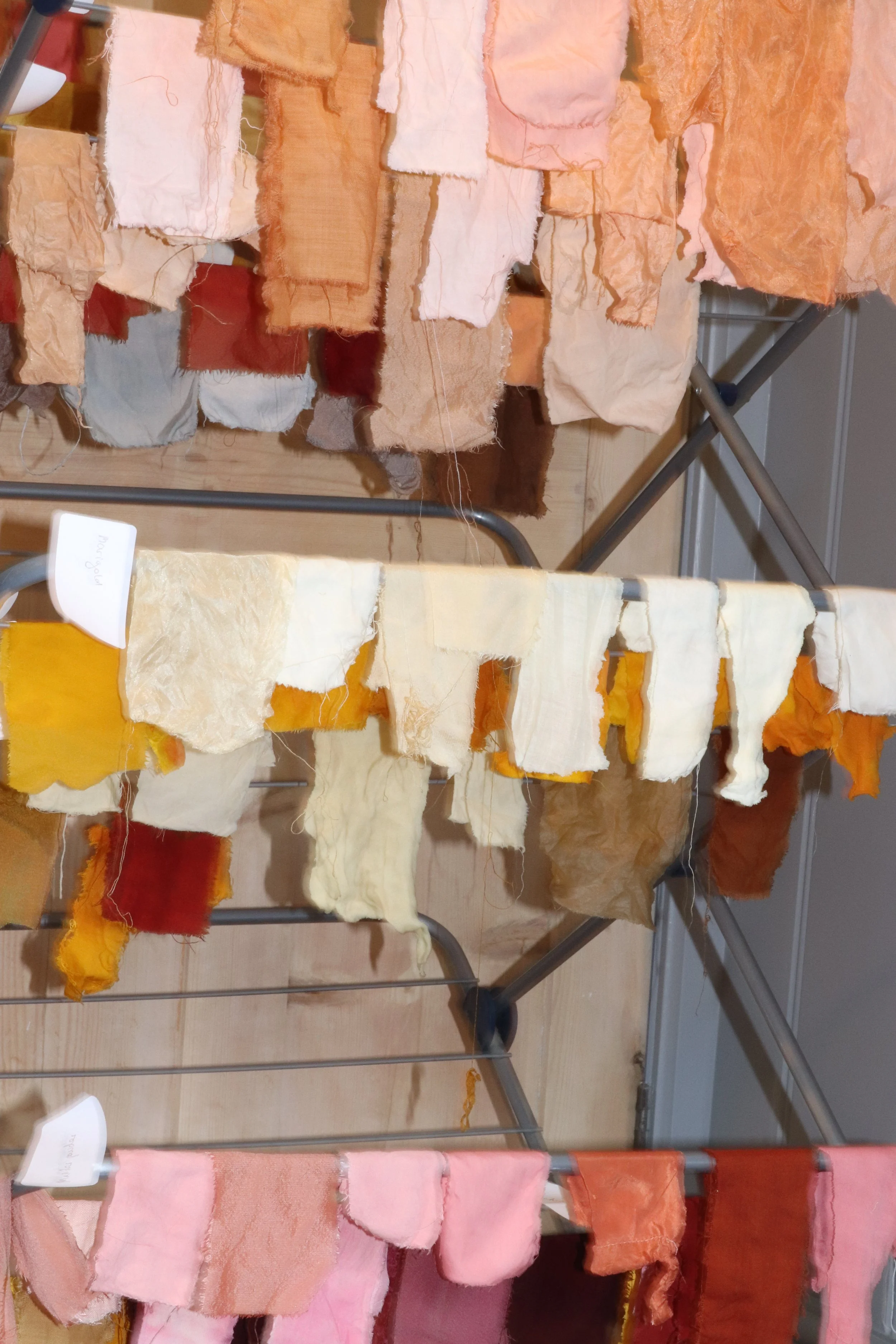 IMG_8979 copy 2.jpeg