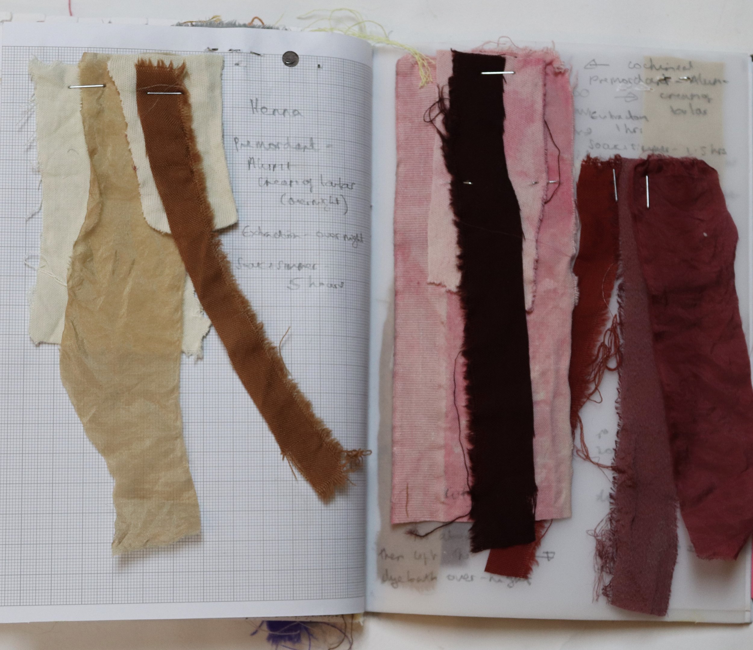 IMG_9013 copy 2.jpeg