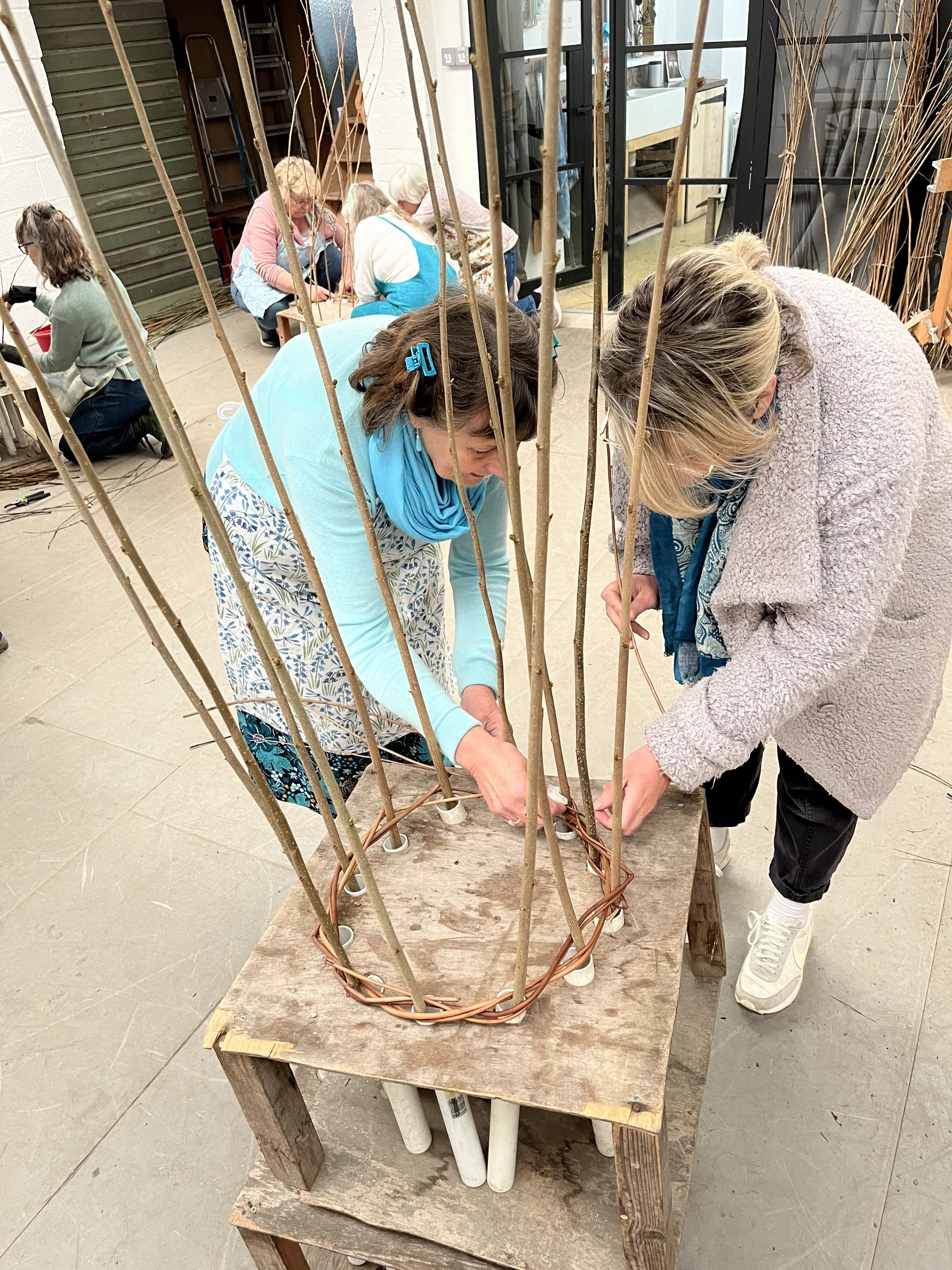 willow structures 2025_13.jpeg