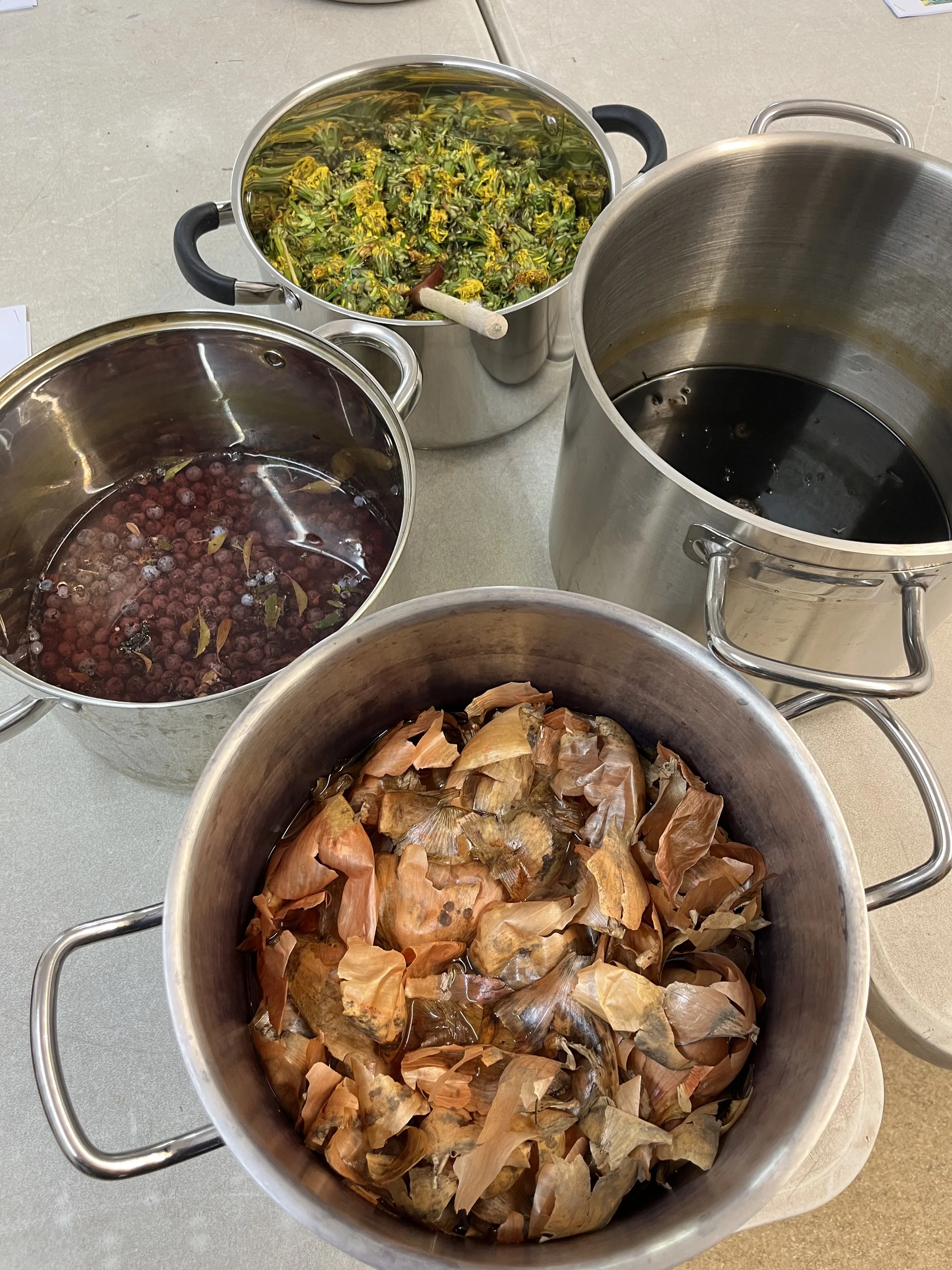 Wild Colour: Natural Dyeing Workshop, Saturday 3rd October, 10am - 4pm