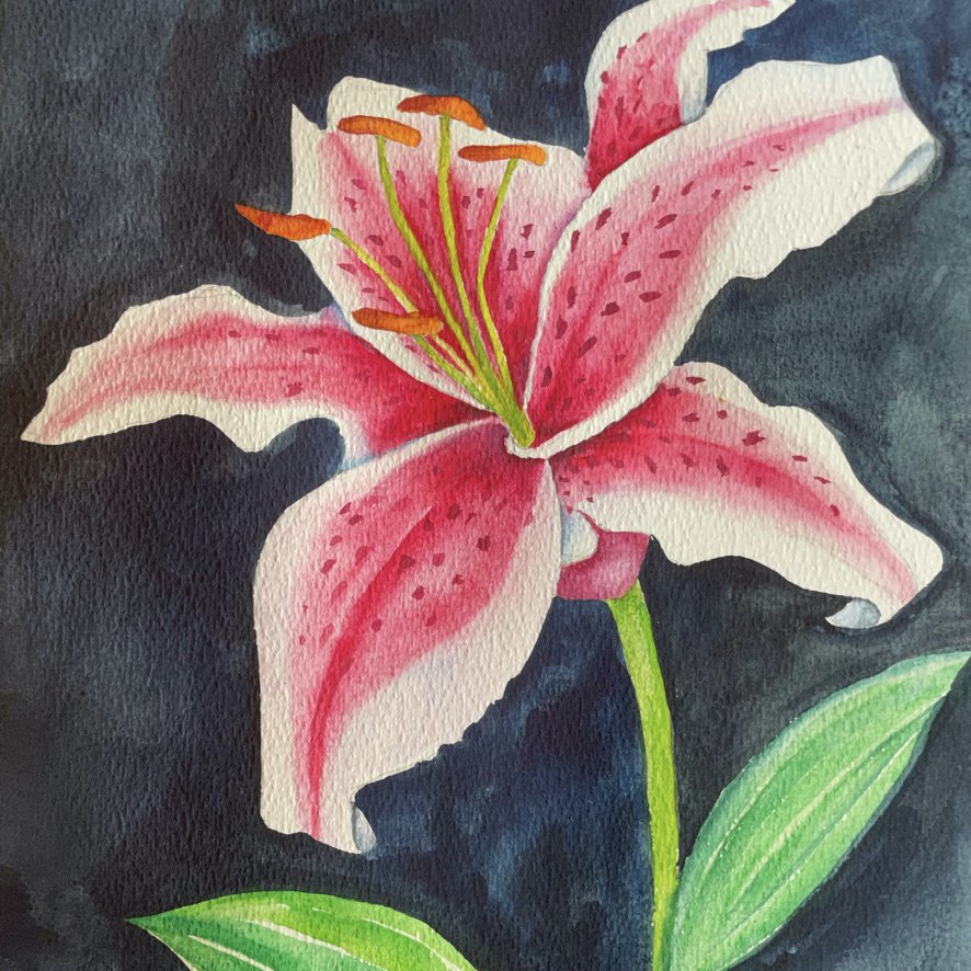 STARGAZER LILY Watercolour Pre-recorded Class 110 mins (teens/adults) £10.00  