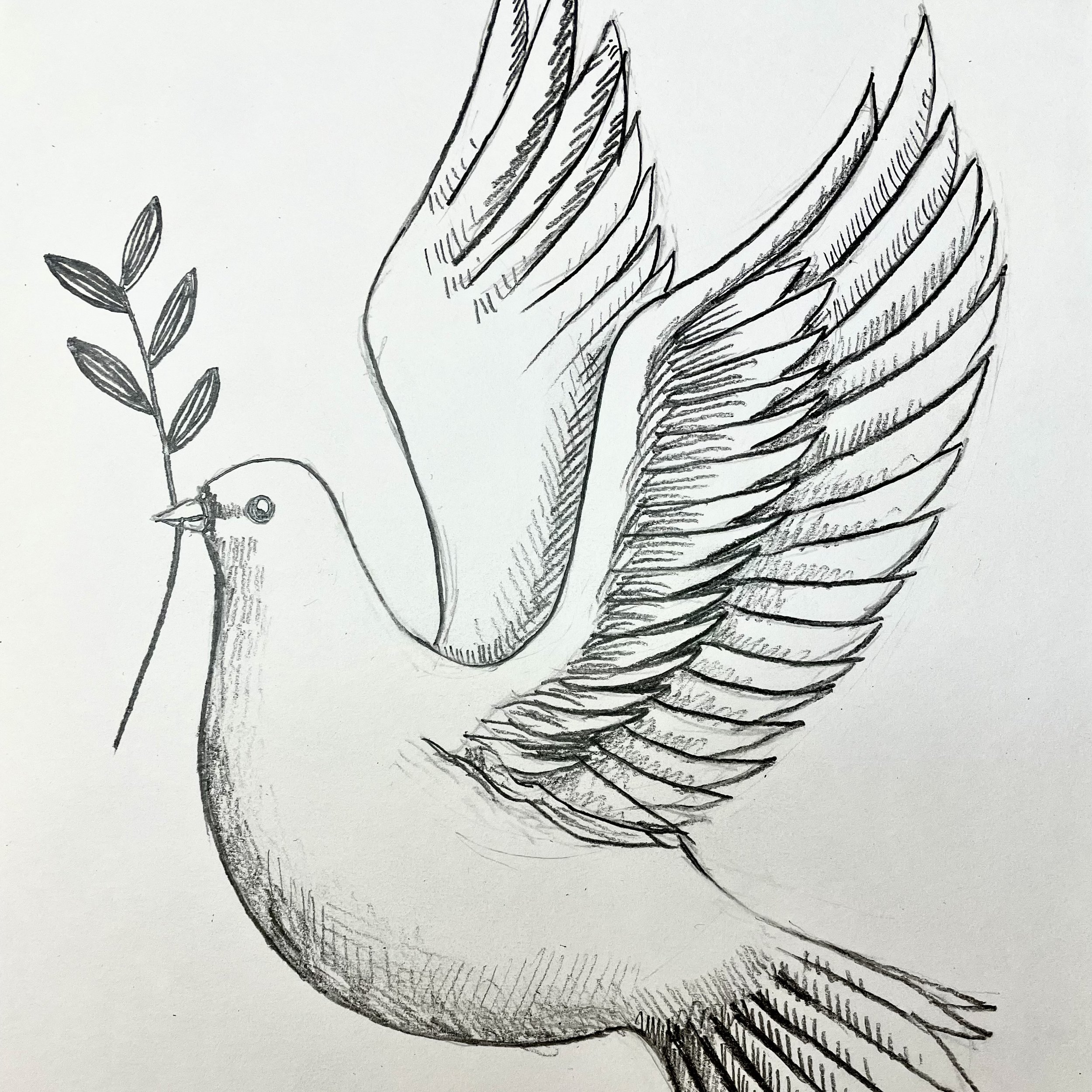 DOVE Drawing Pre-recorded Class 50 mins (kids/teens/adults) £8.00