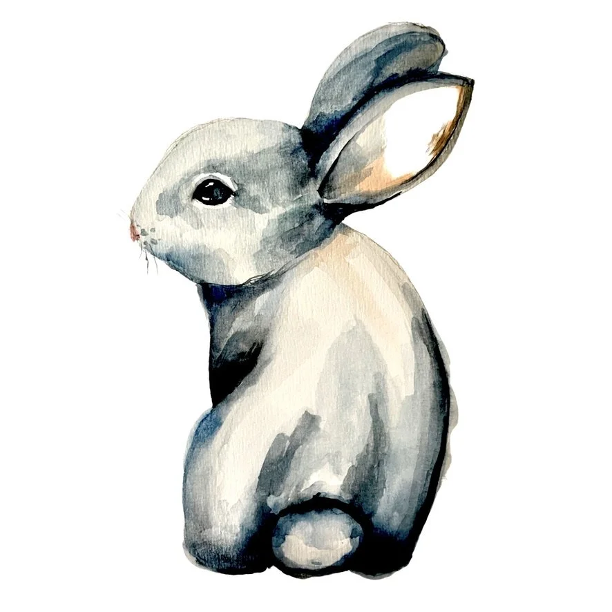 BUNNY Watercolour Prerecorded Class (kids/teens/adults) £8.00