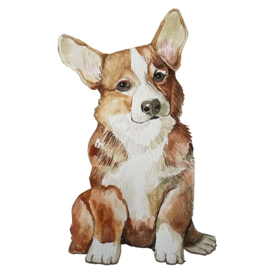 CORGI Watercolour Prerecorded Class (teens/adults) 125 mins