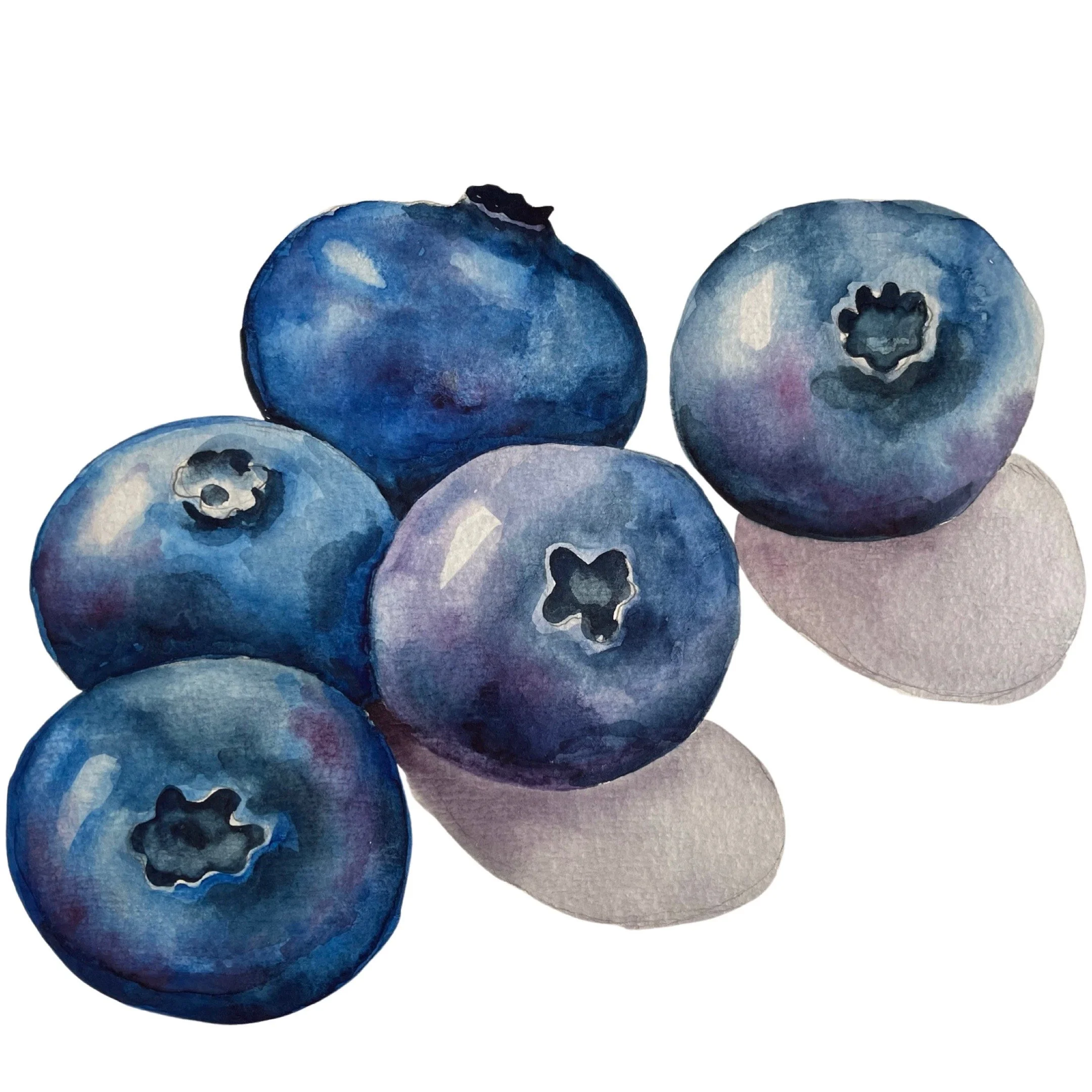 BLUEBERRIES Watercolour Prerecorded Class (intermediate) 100mins