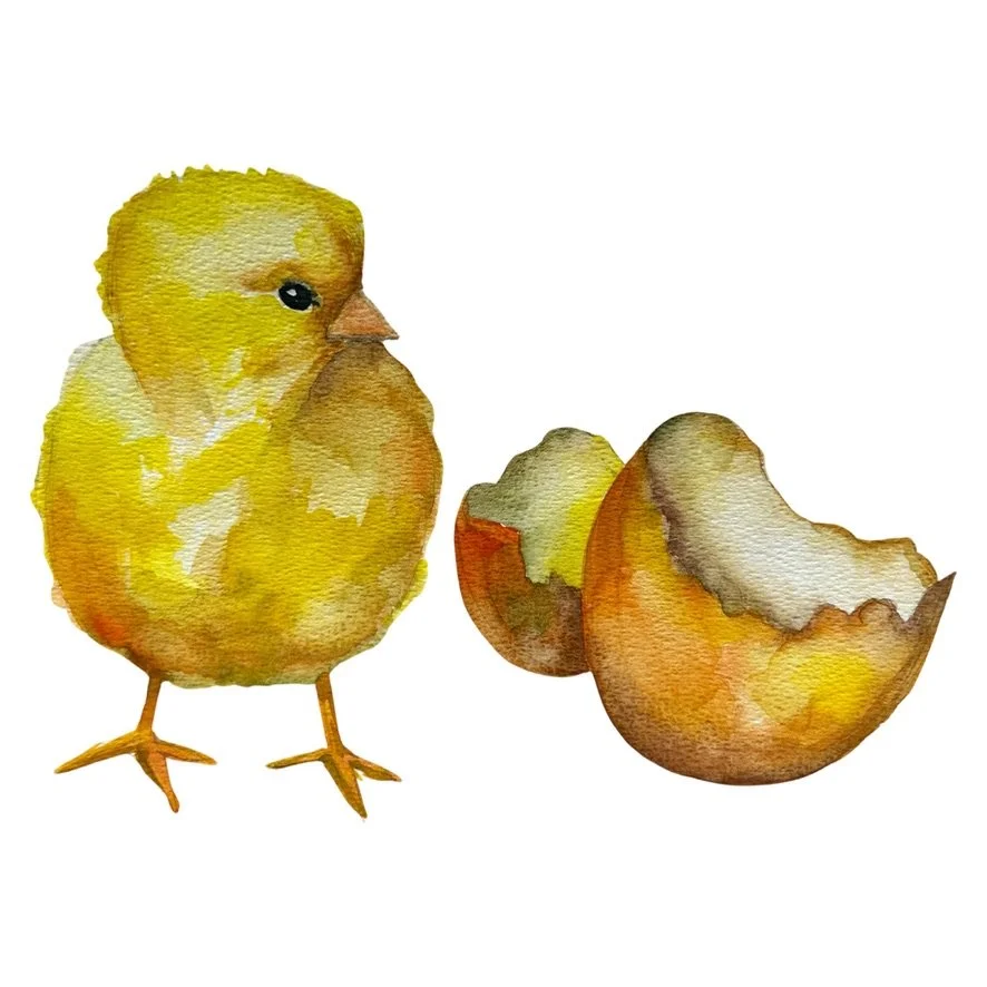 CHICK & EGG Watercolour Prerecorded Class for beginners kids/teens/adults  mins £8.00
