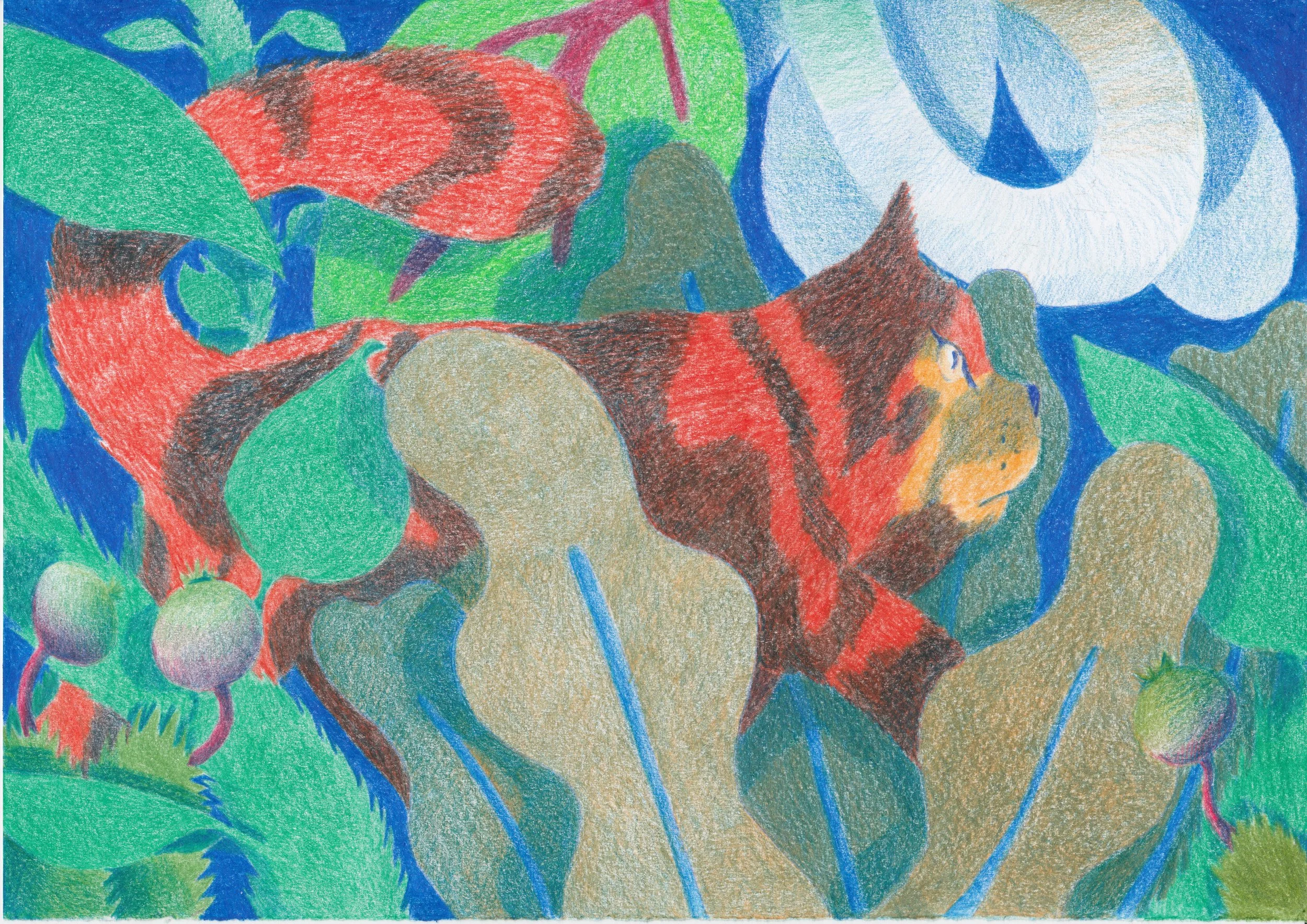 Contes de Griotte.jpeg