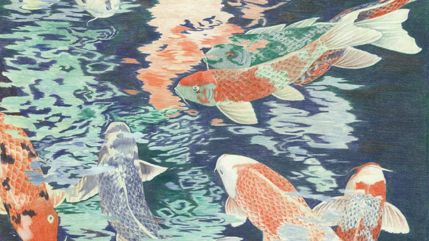 image media-site-carpes.jpg