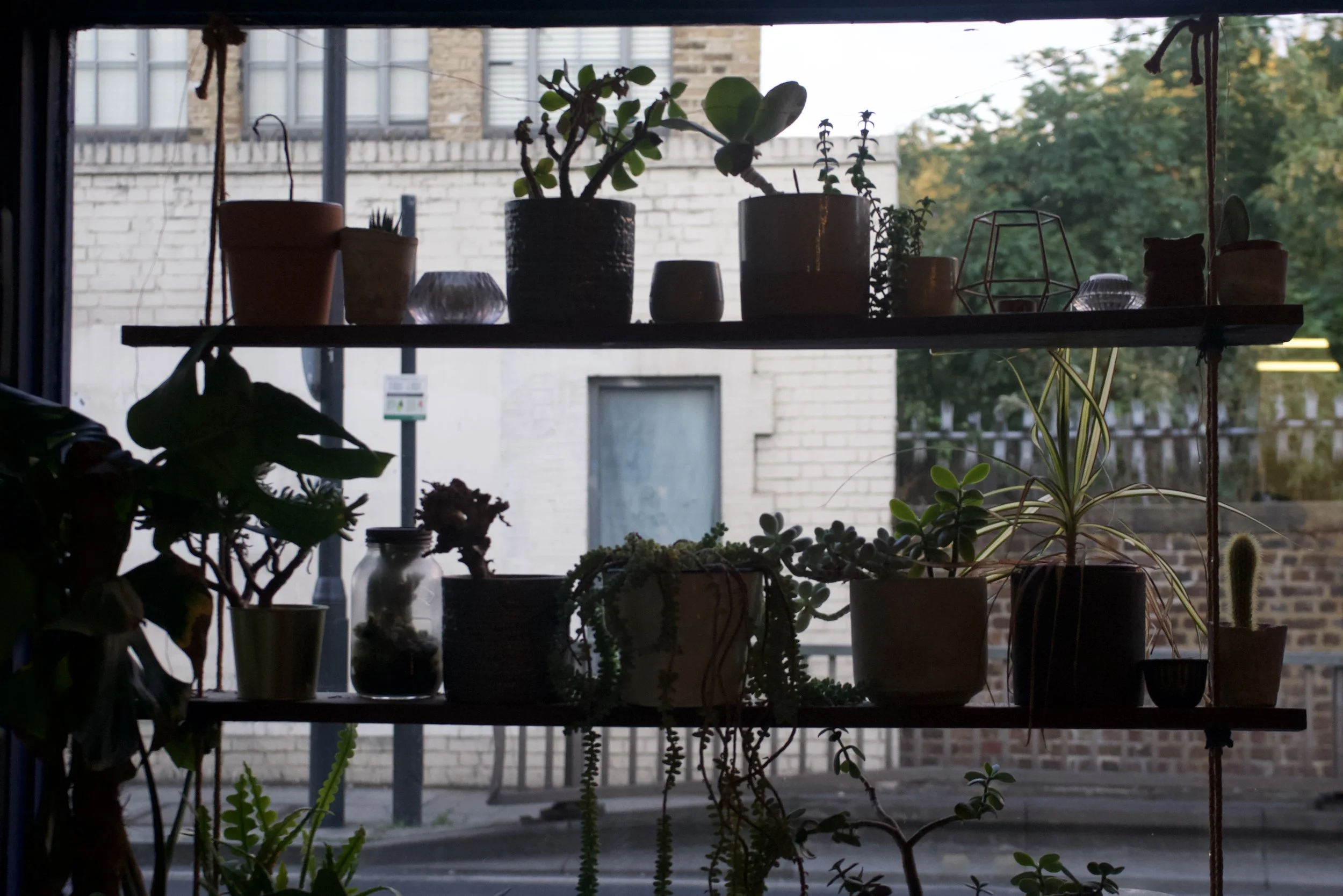 DSC02304.jpeg