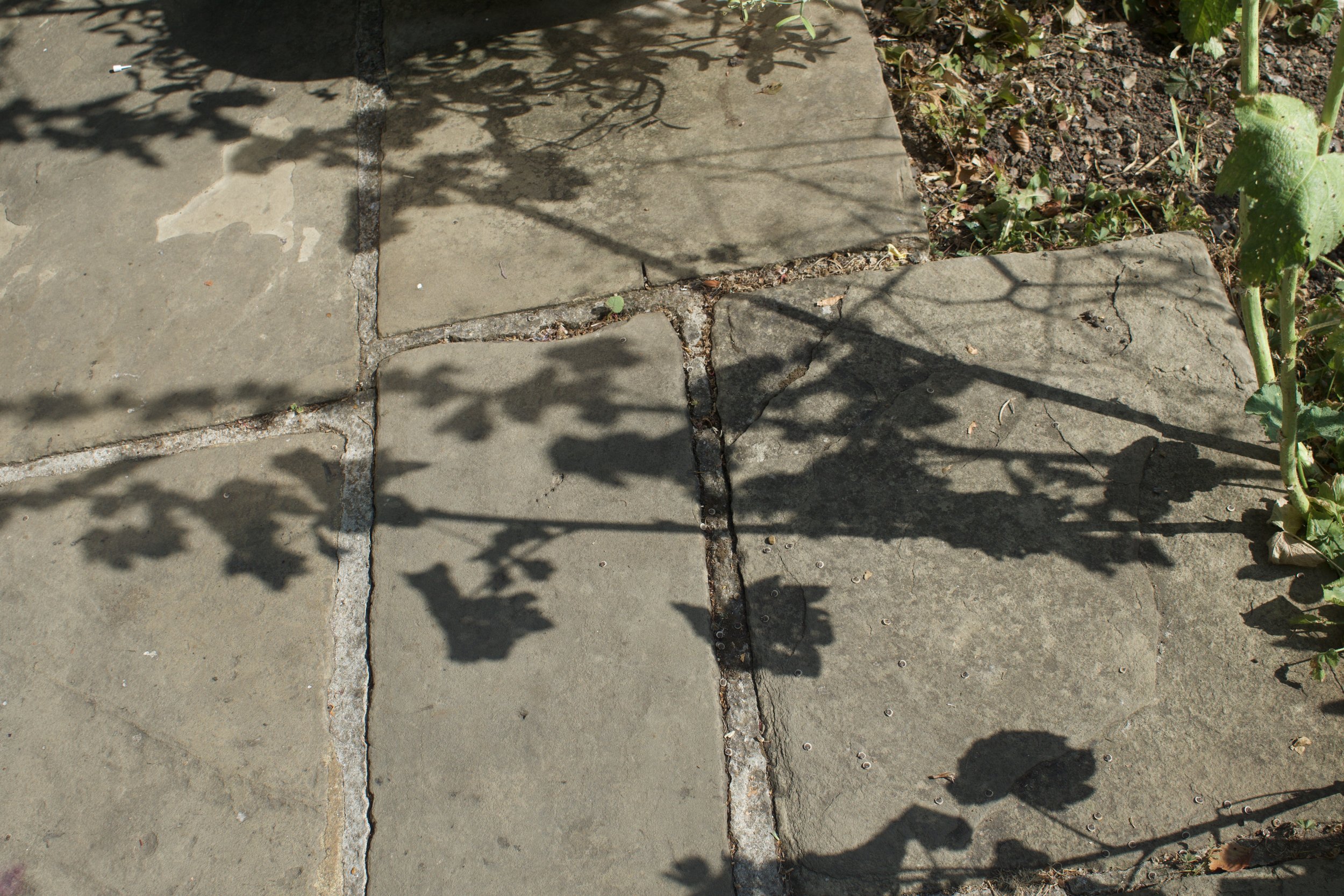 DSC03361.jpeg