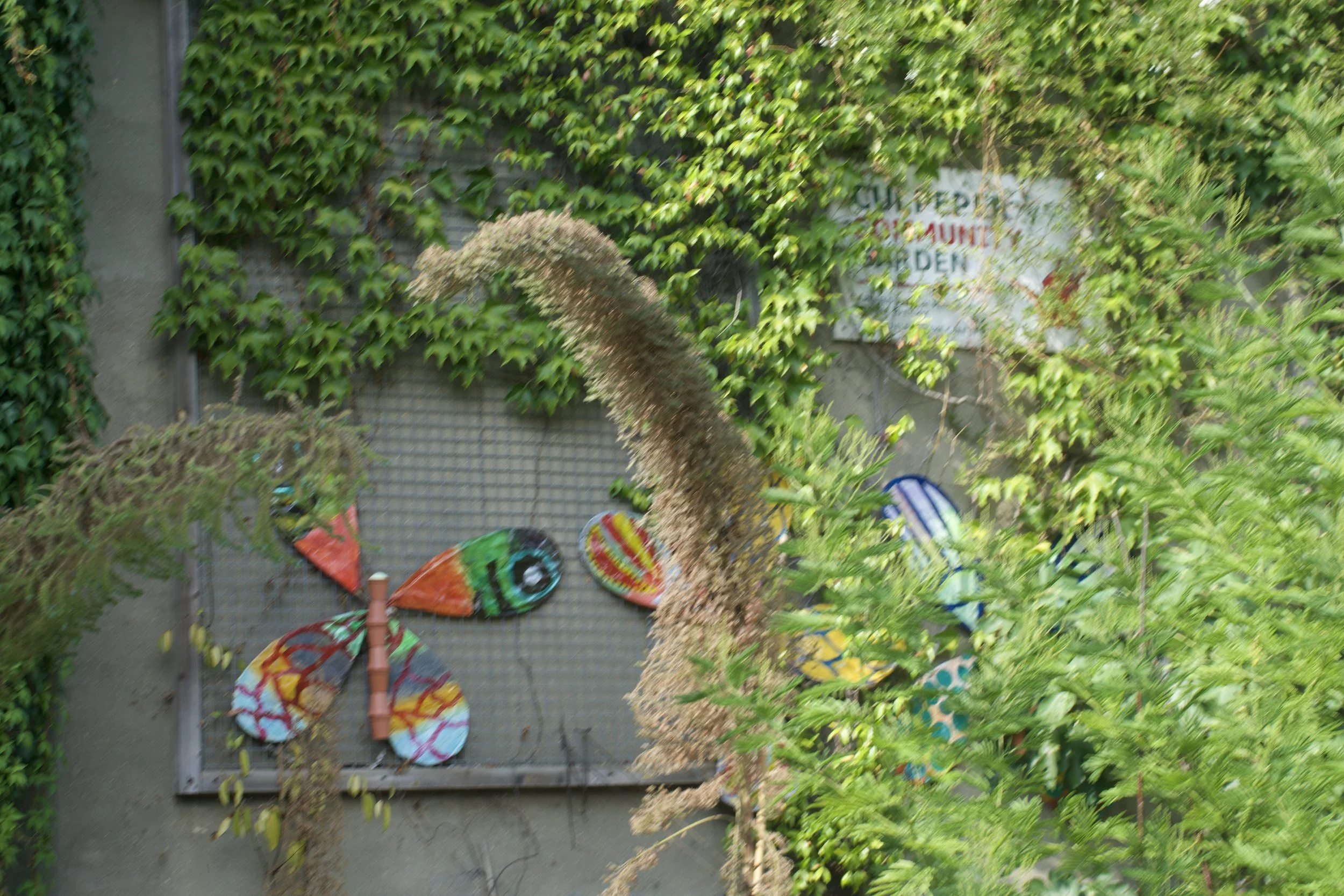 DSC03373.jpeg