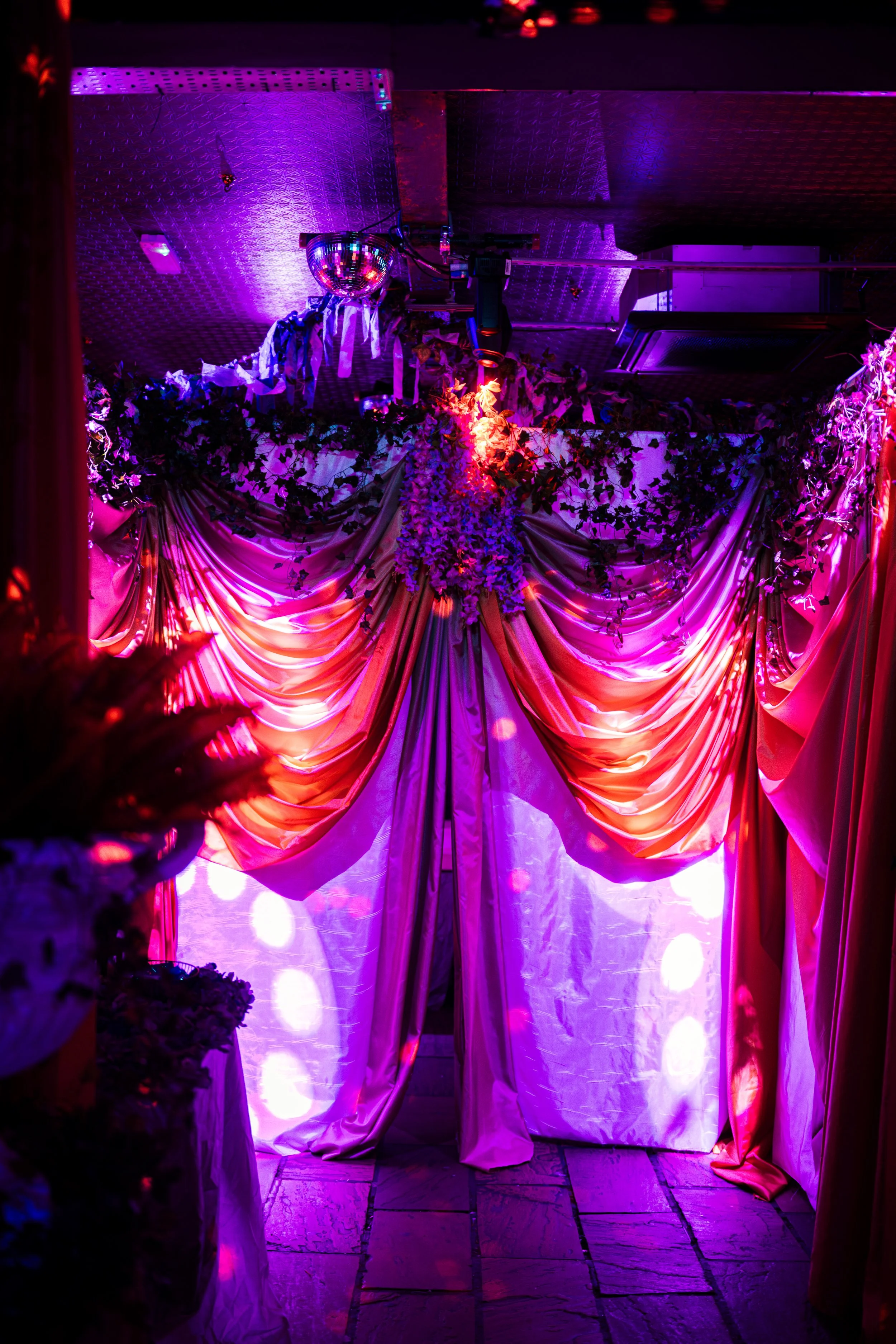 Pinky Dionysus-5.jpg