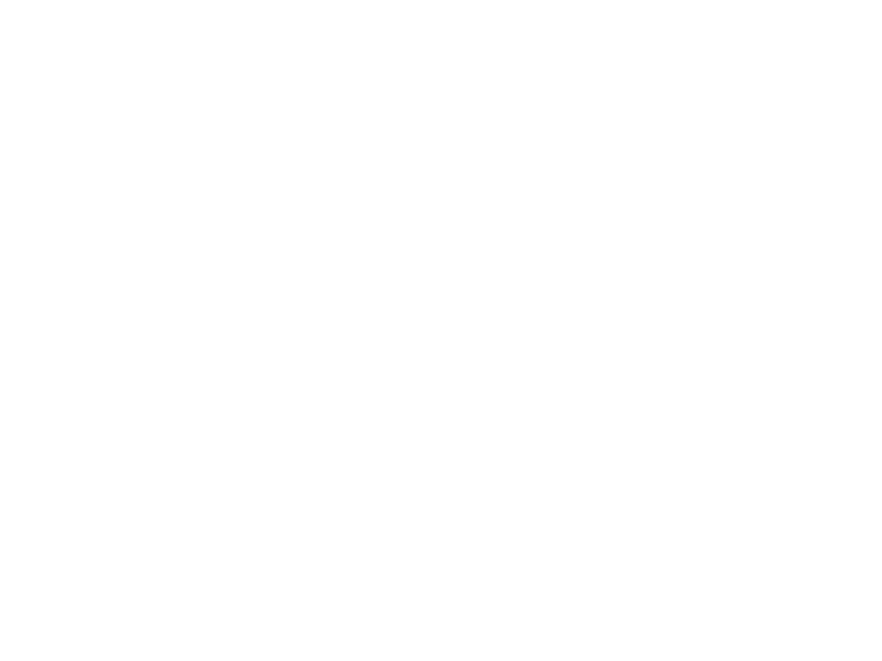 ysl.png