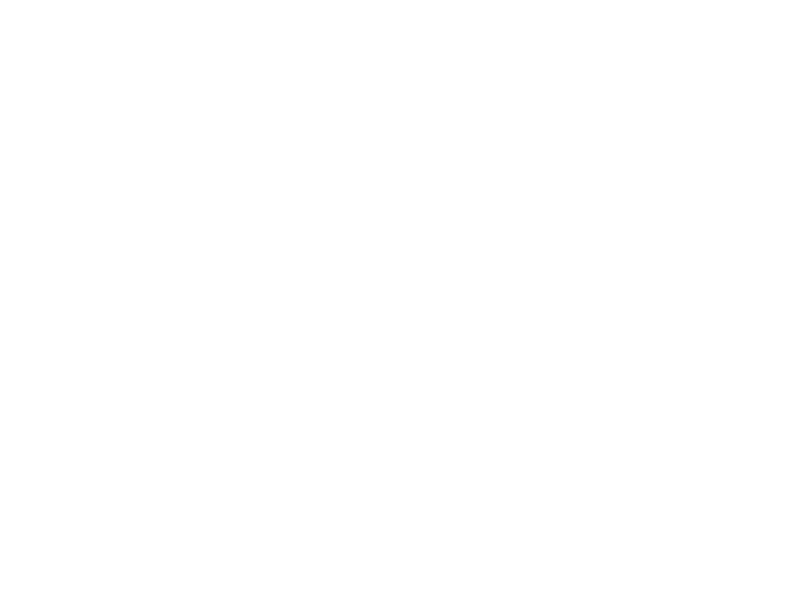lv.png