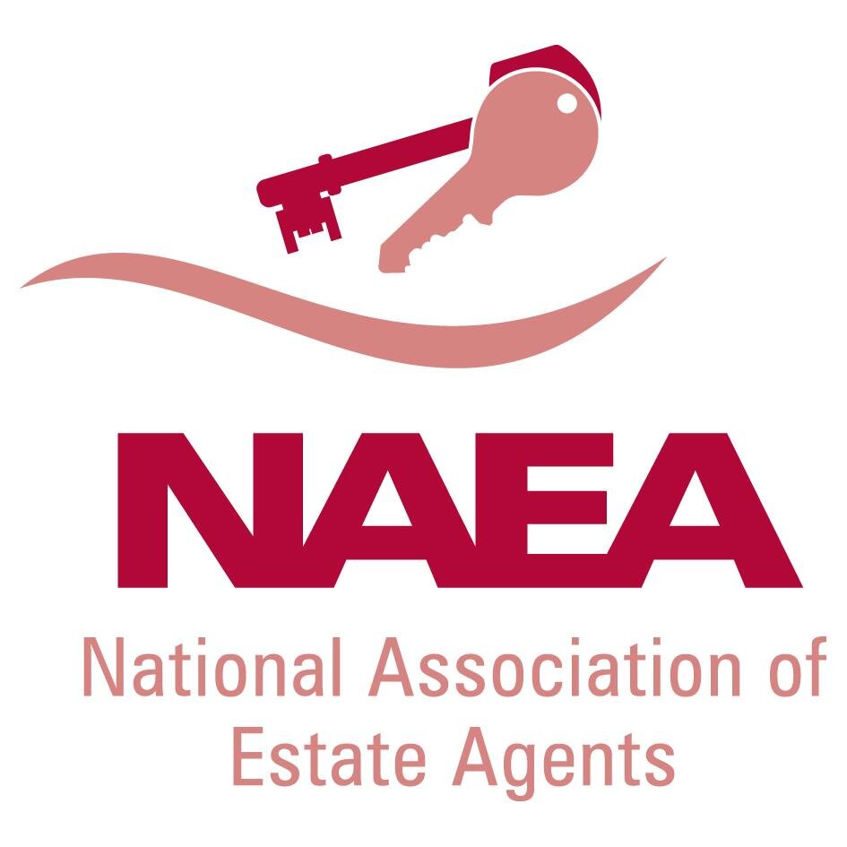 NAEA logo.jpg
