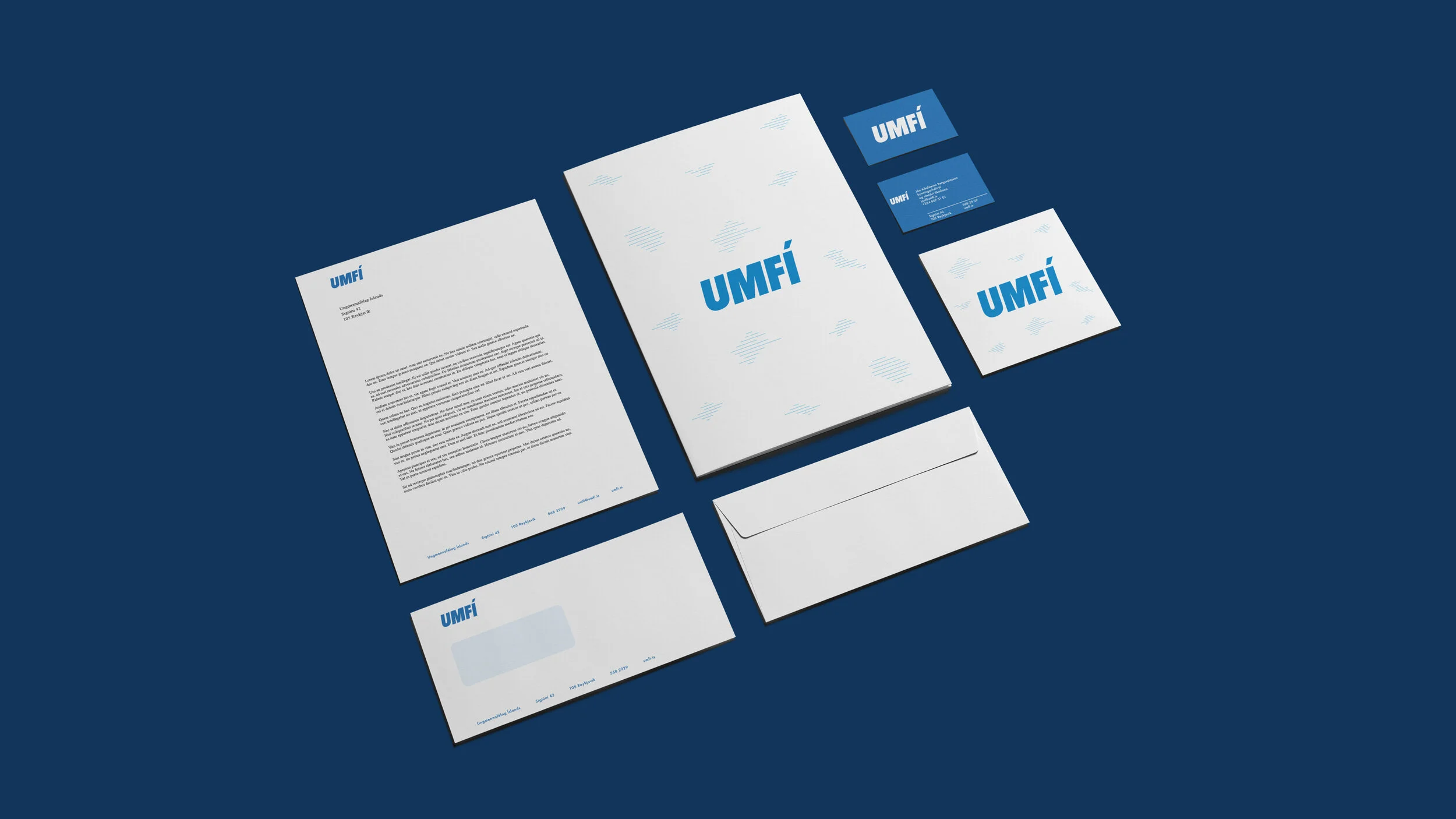 umfi_hn3.jpg