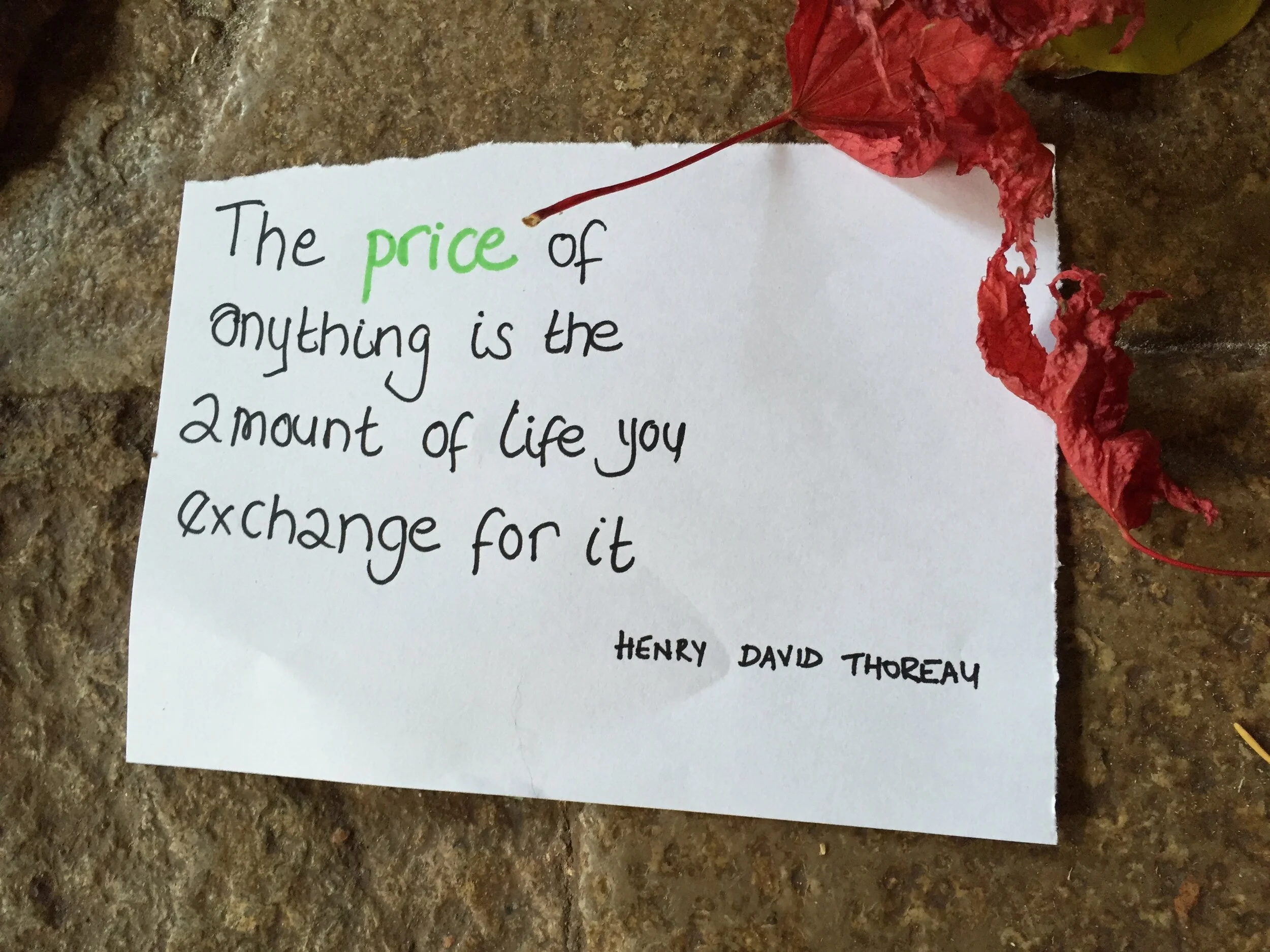 the price of anything schumacher short course.jpg
