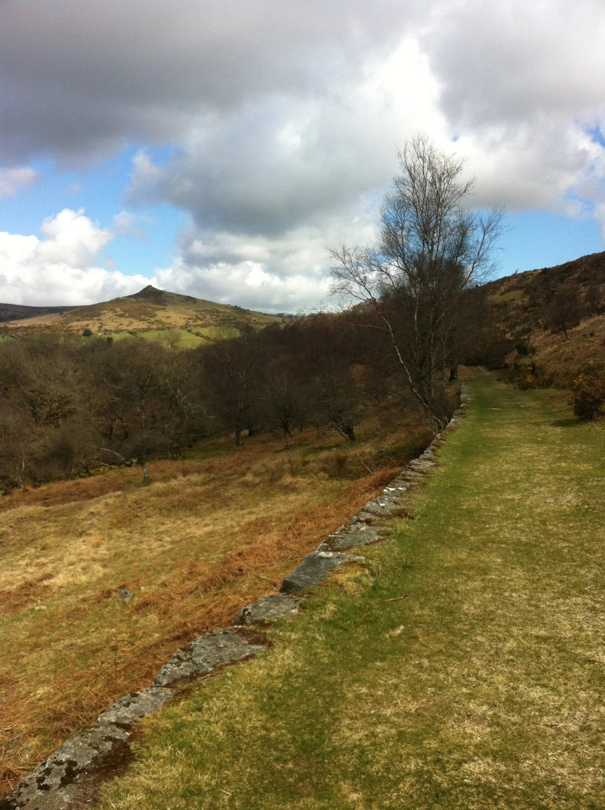 path to Sharp Tor.jpg