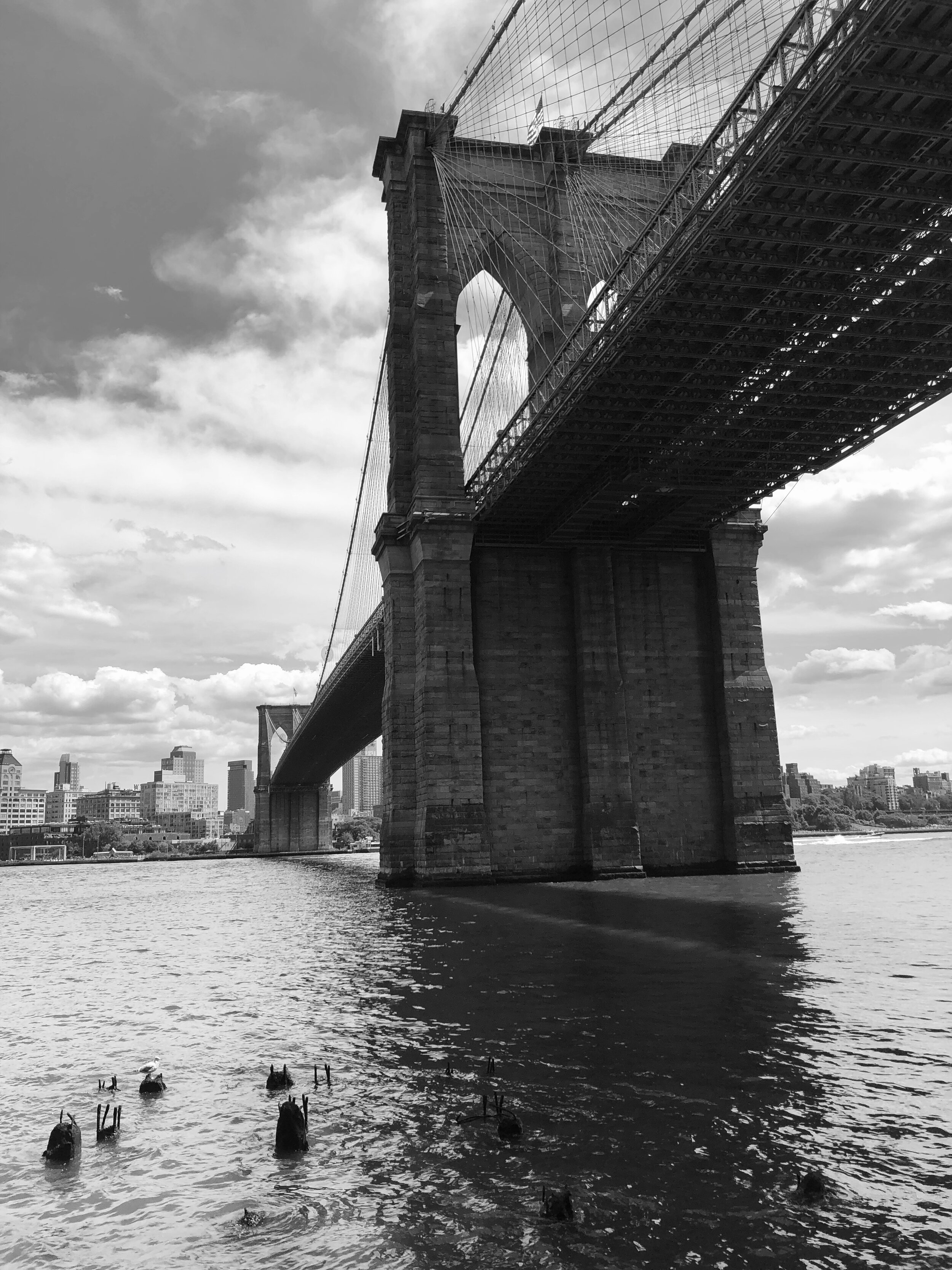 View from under The Bridge, NYC - August 2019