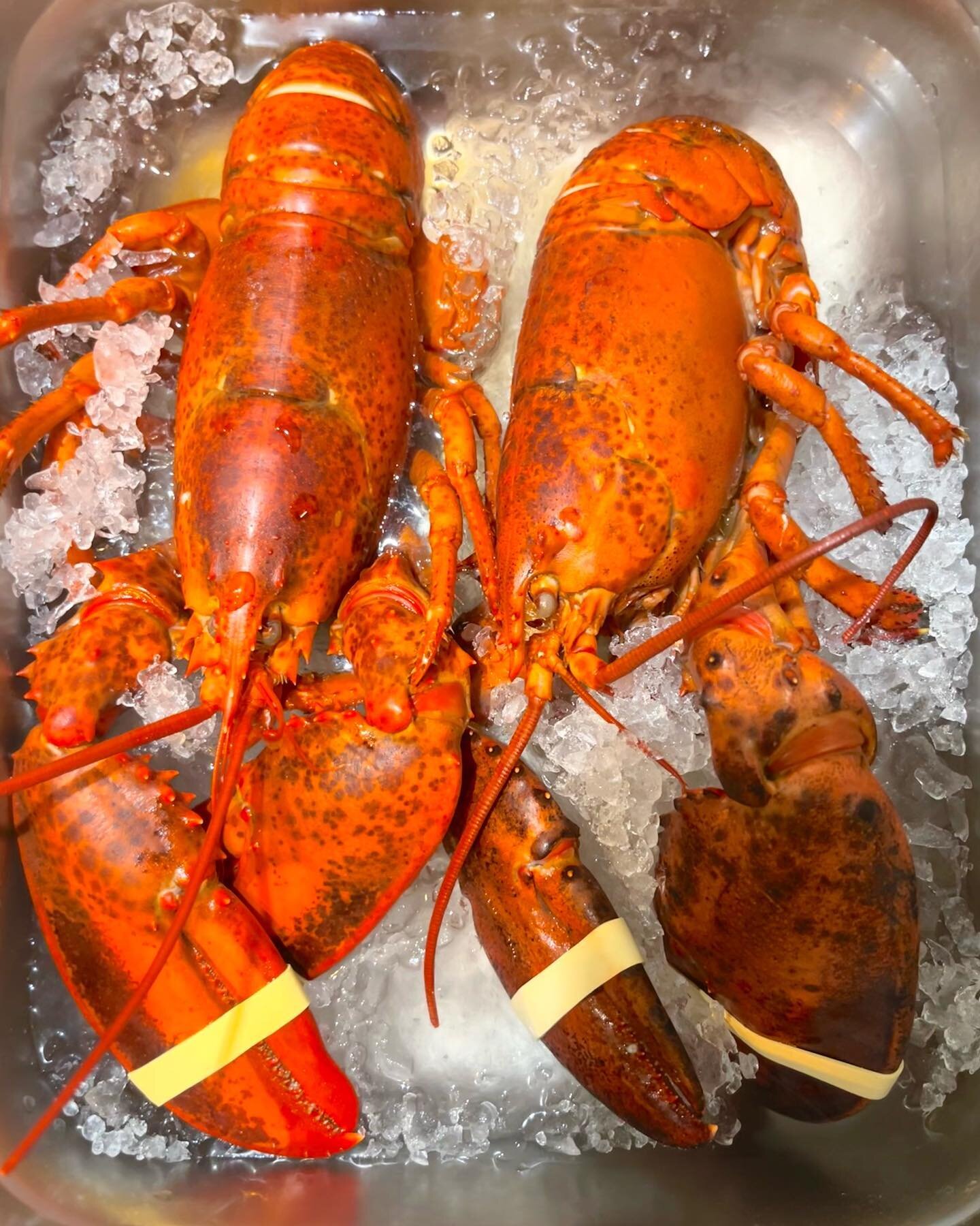 🦞SURF &amp; TURF 🦞

#mignonette #lobster #seafood #wine #steak #torontoeats #barmignonette