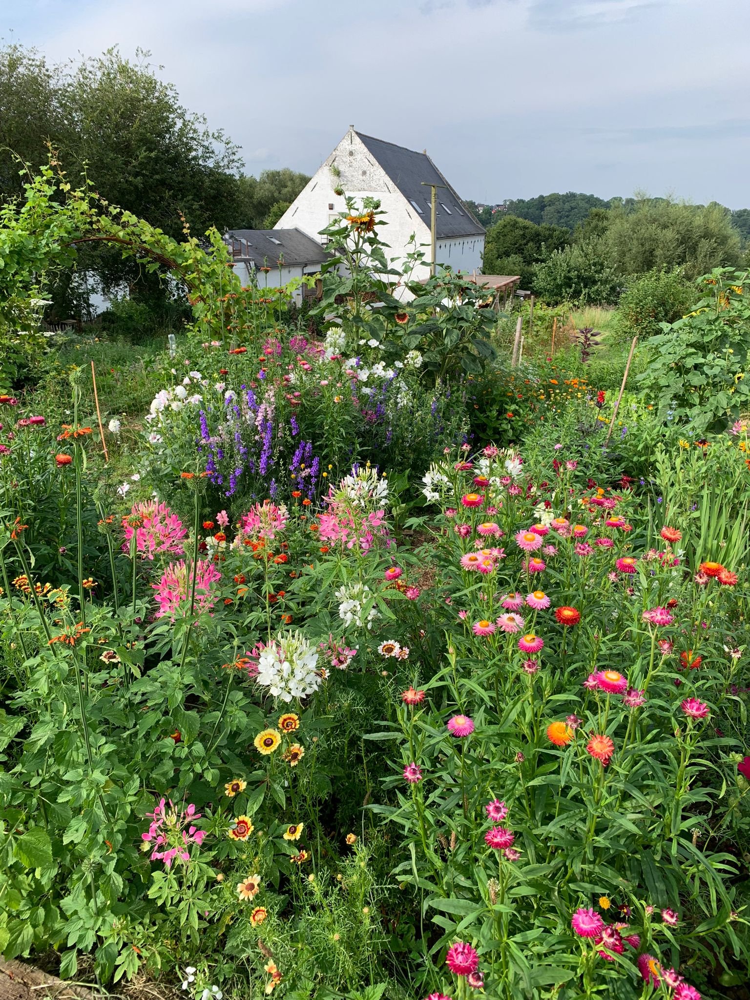 FLEURS et ferme.jpg