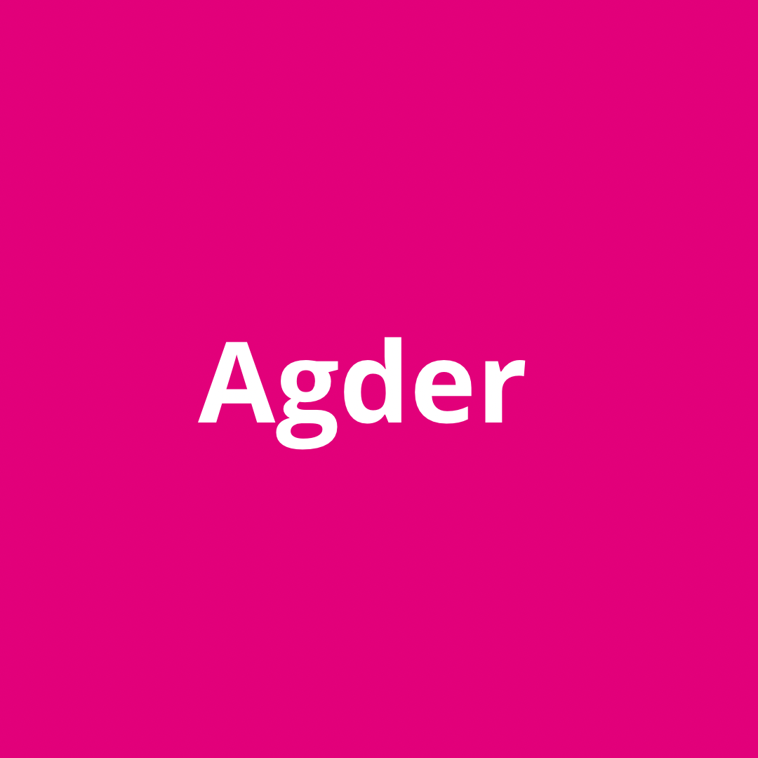 Nasjonalt program 2024 - Agder