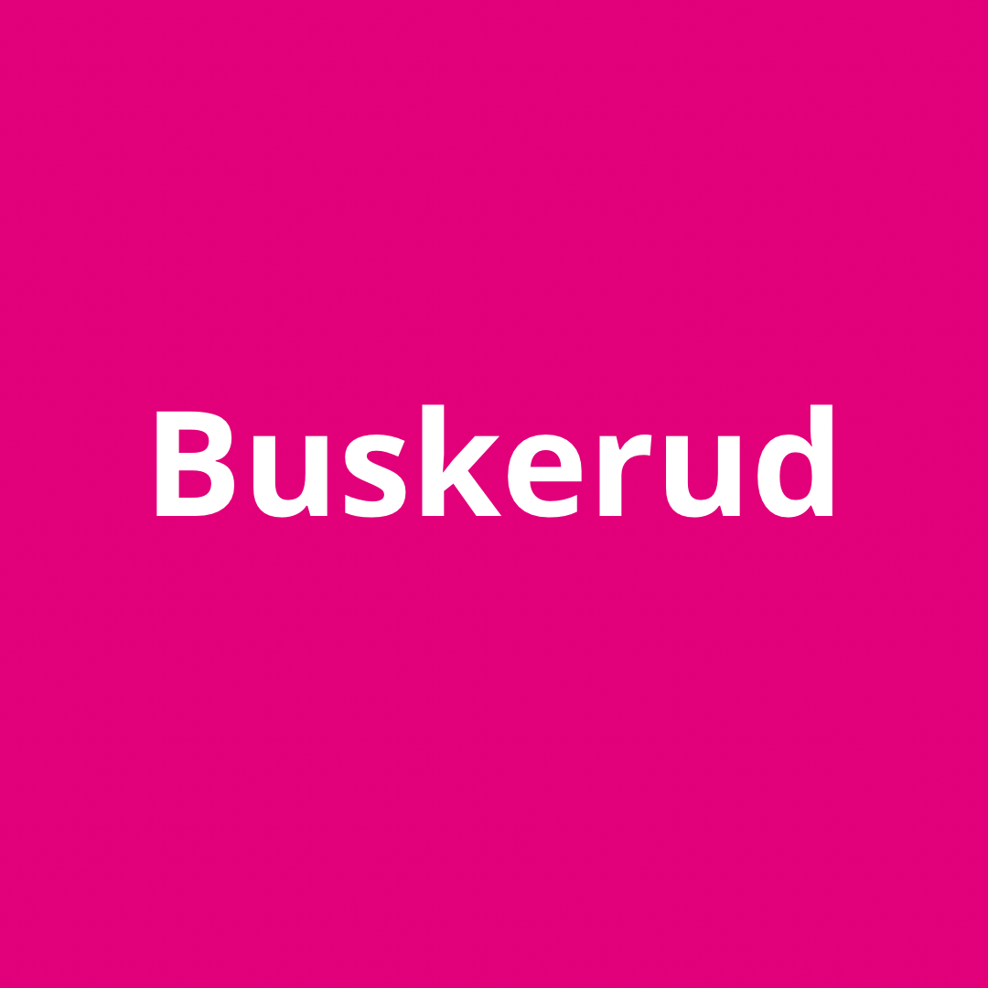 Nasjonalt program 2024 - Buskerud