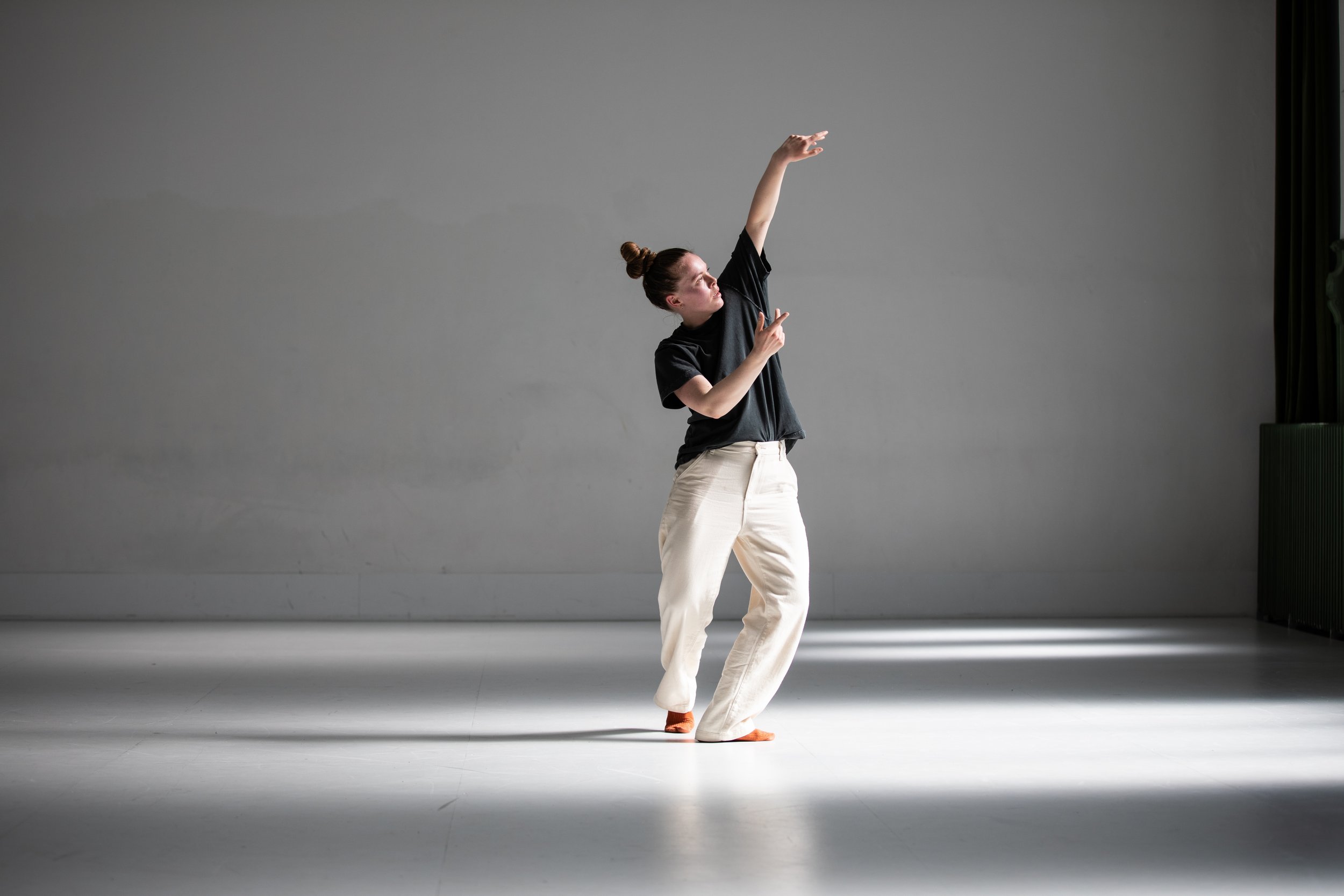 Foto Sigrun Drivdal Johnsen Danseinformasjonen0G0A0510-kopi.jpeg