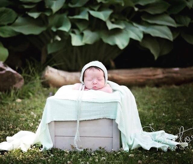 Outdoor dreaming #newborn #newbornphotography #newbornphotoshoot #newbornportrait #bostonnewborn #beverlynewbornphotographer #northshorenewbornphotographer #newbornsession #outdoornewbornphotography #babyphoto #babyphotographer #bostonbabyphotographe