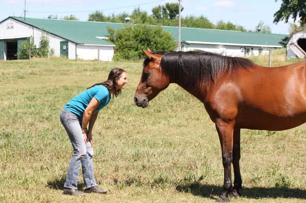 woman-and-horse-looking-at-each-other-in-equine-assisted-coaching