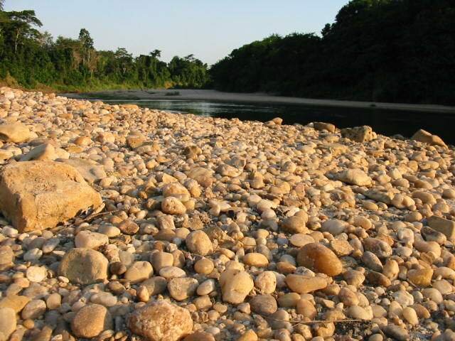 45-Pebbles Kisampa Aug 2004 2 - Copy.jpeg