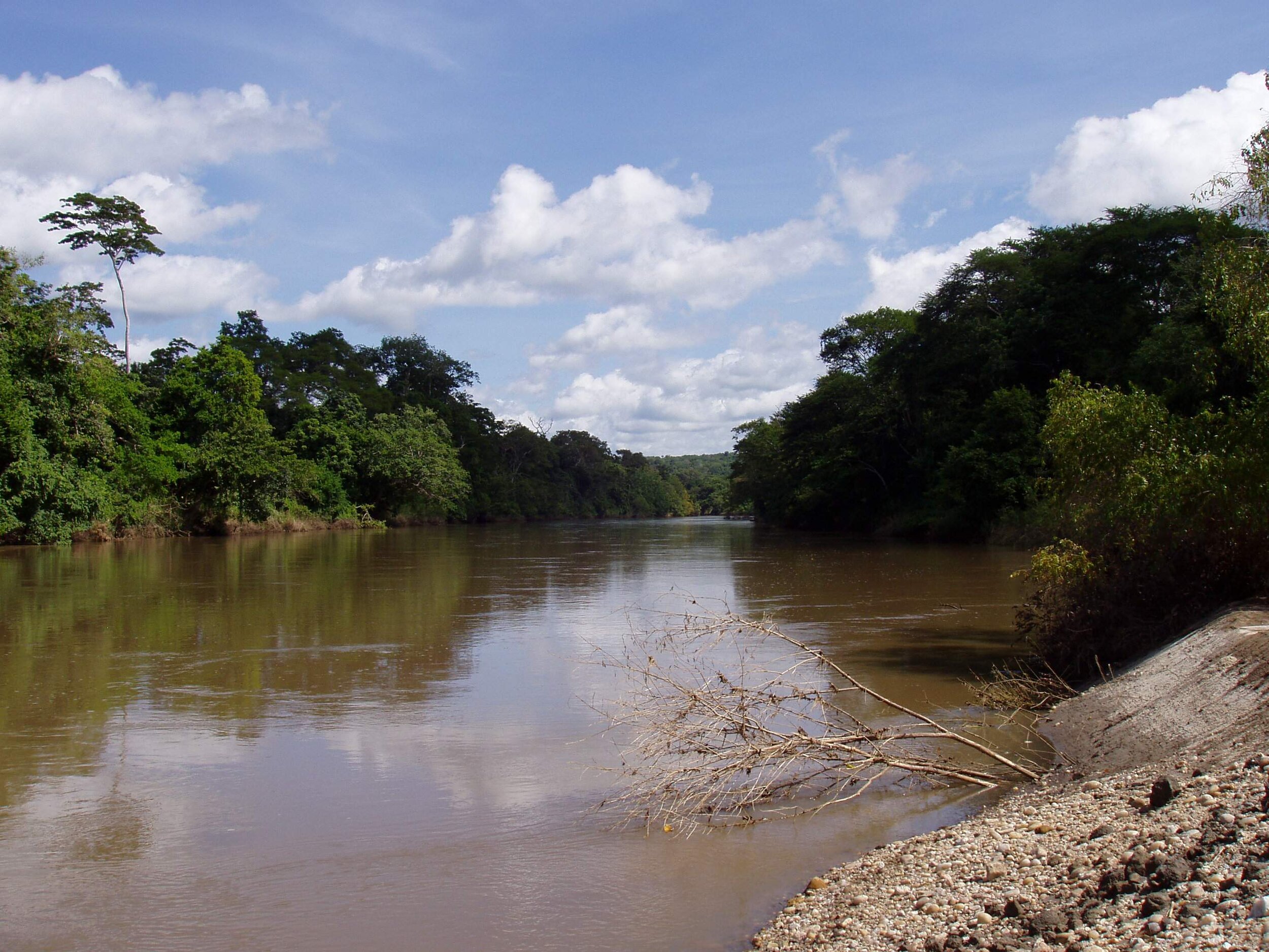 Wami River July 2004.jpeg