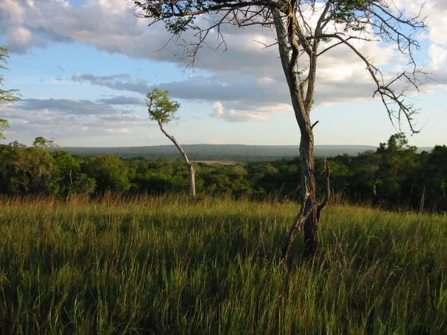 Parkland Mvomero 2 April 2003 - Copy.jpeg