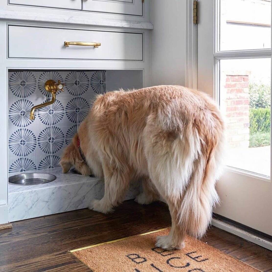Working on a &ldquo;dog room&rdquo; is way more fun than we anticipated 👏