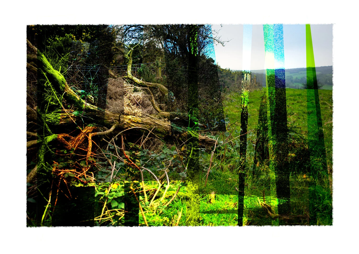 The-Fallen-002.jpg