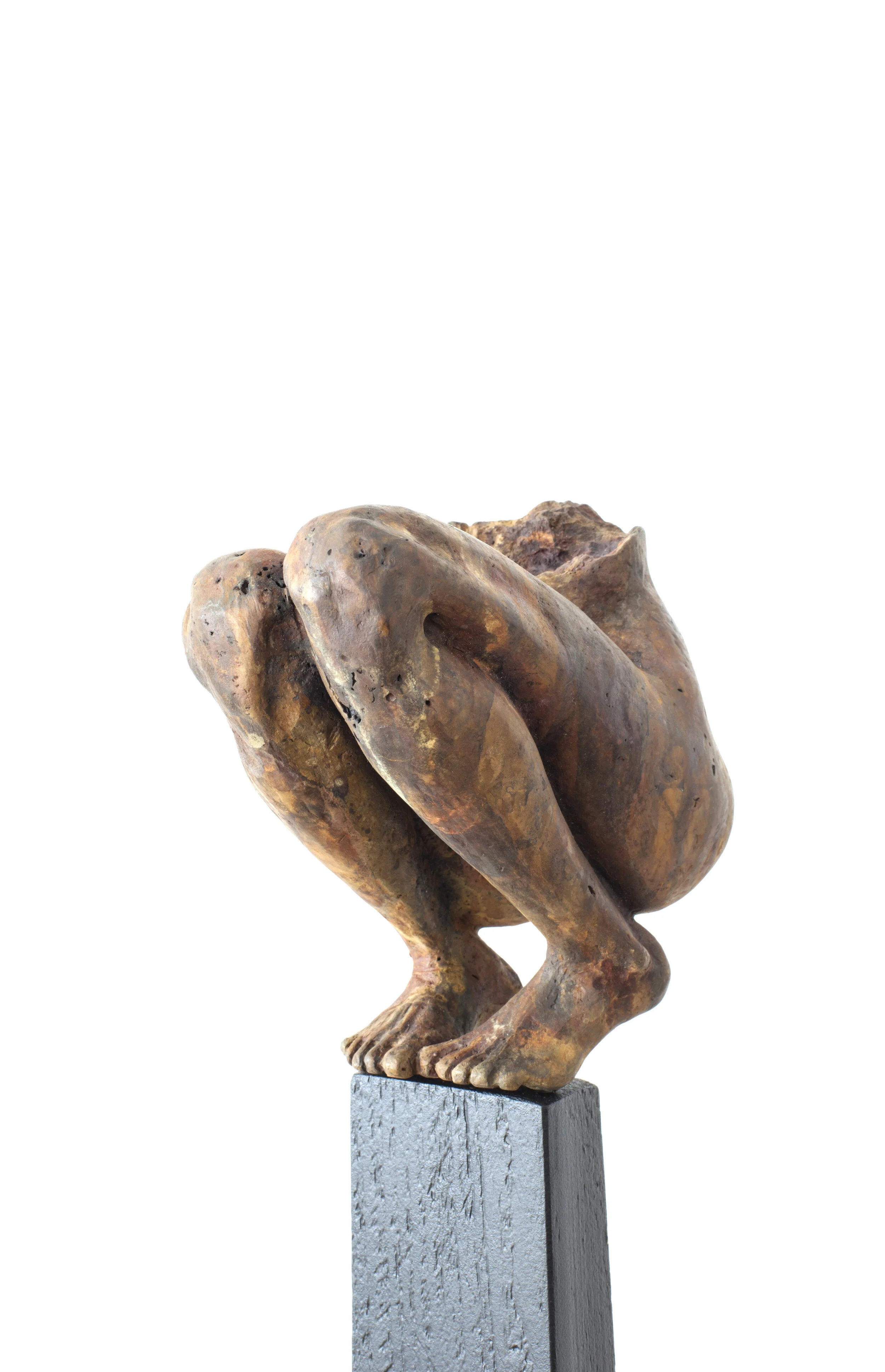 Non omnis moriar  (I will never die completely) 