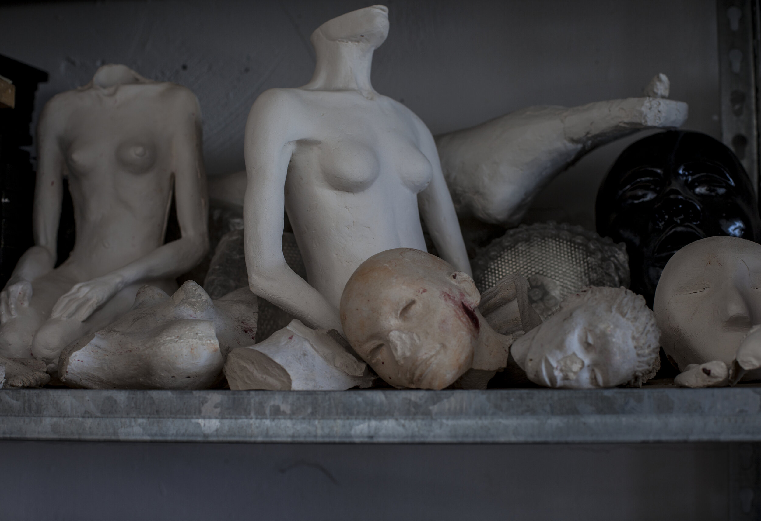Plaster figures and models for working