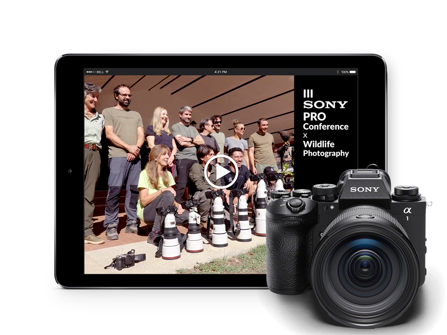 VÍDEO - III Sony PRO Conference 2025